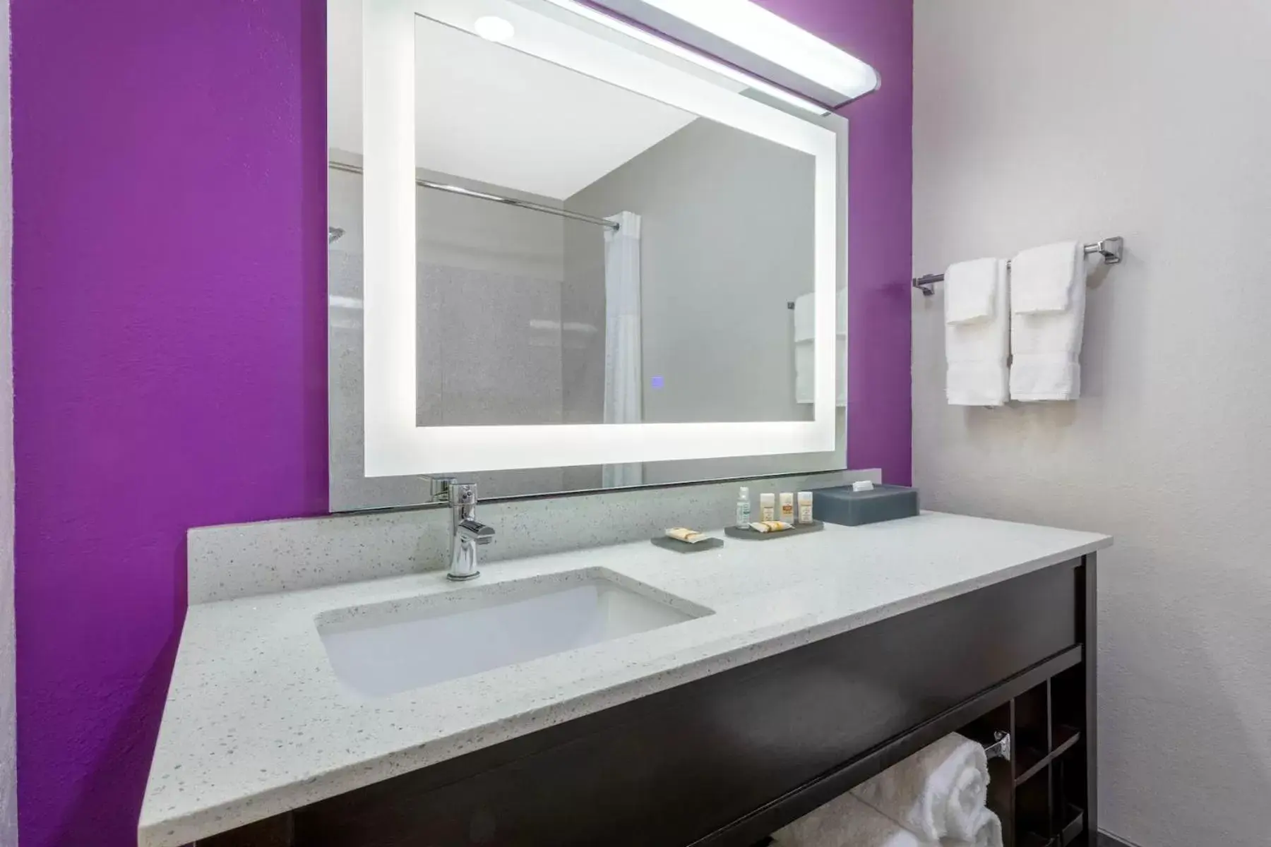 Shower, Bathroom in La Quinta by Wyndham Tampa Bay Area-Tampa South