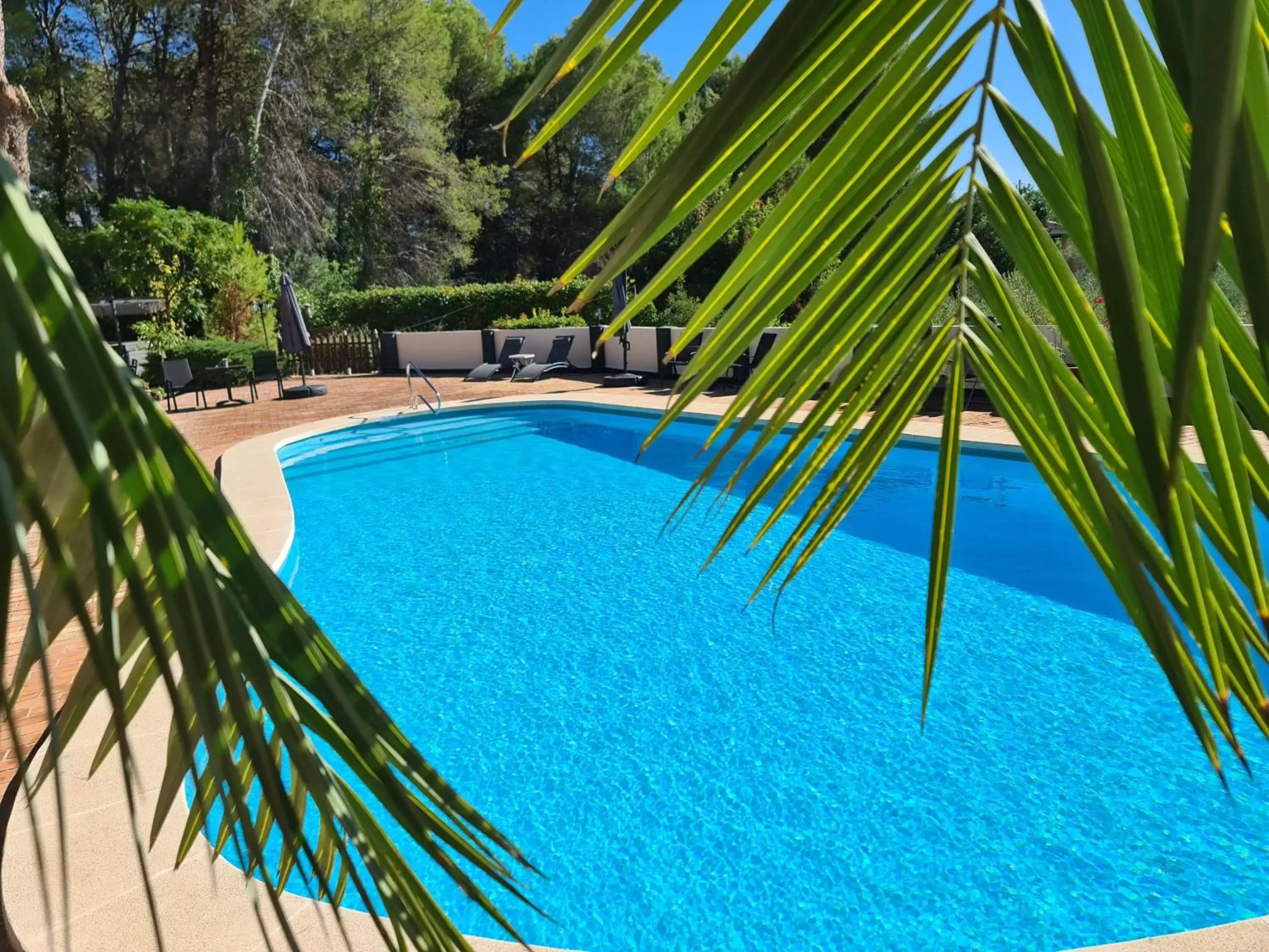 Day, Swimming Pool in Finca la Yuca