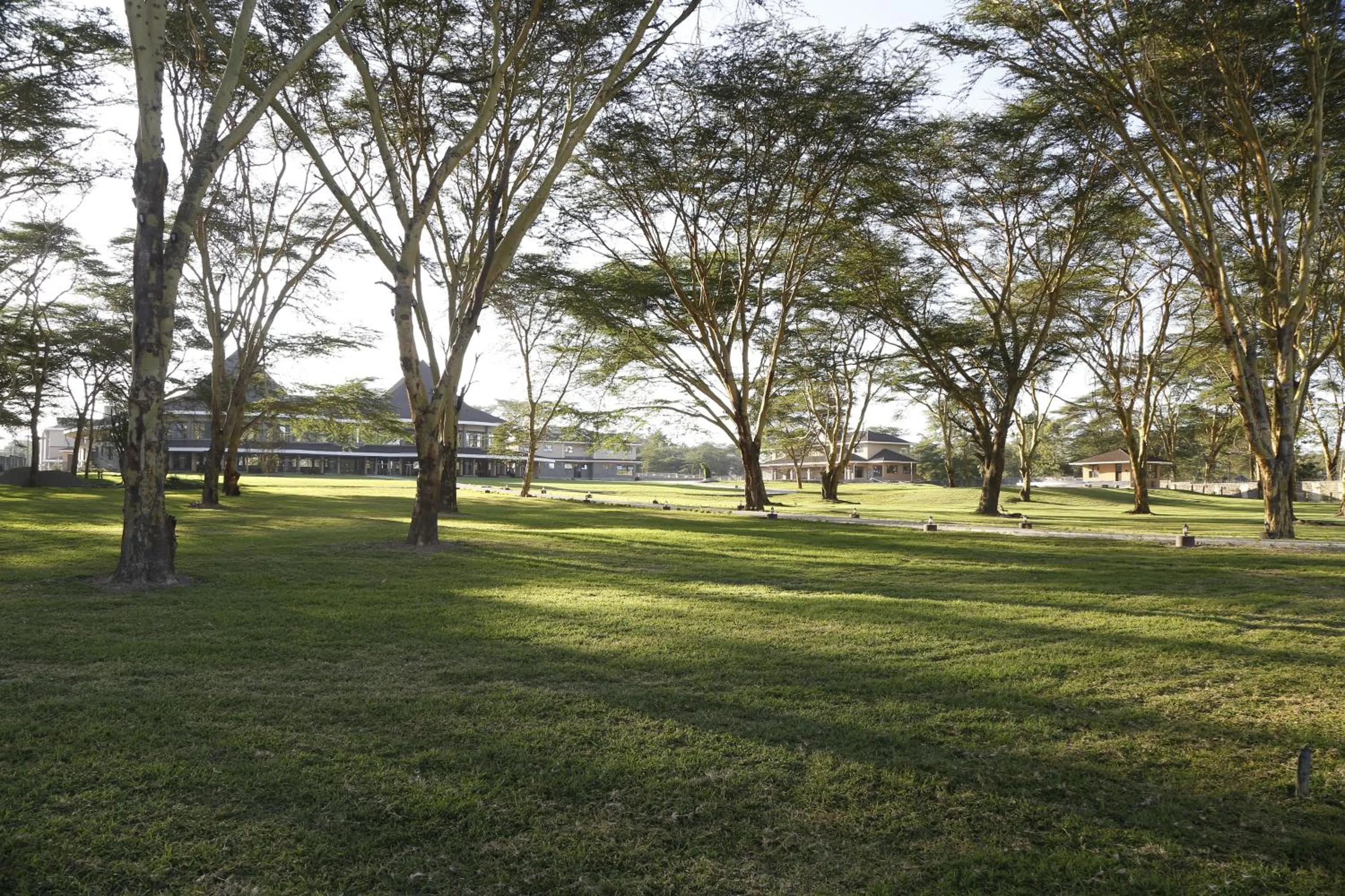 Spring in Lake Naivasha Resort