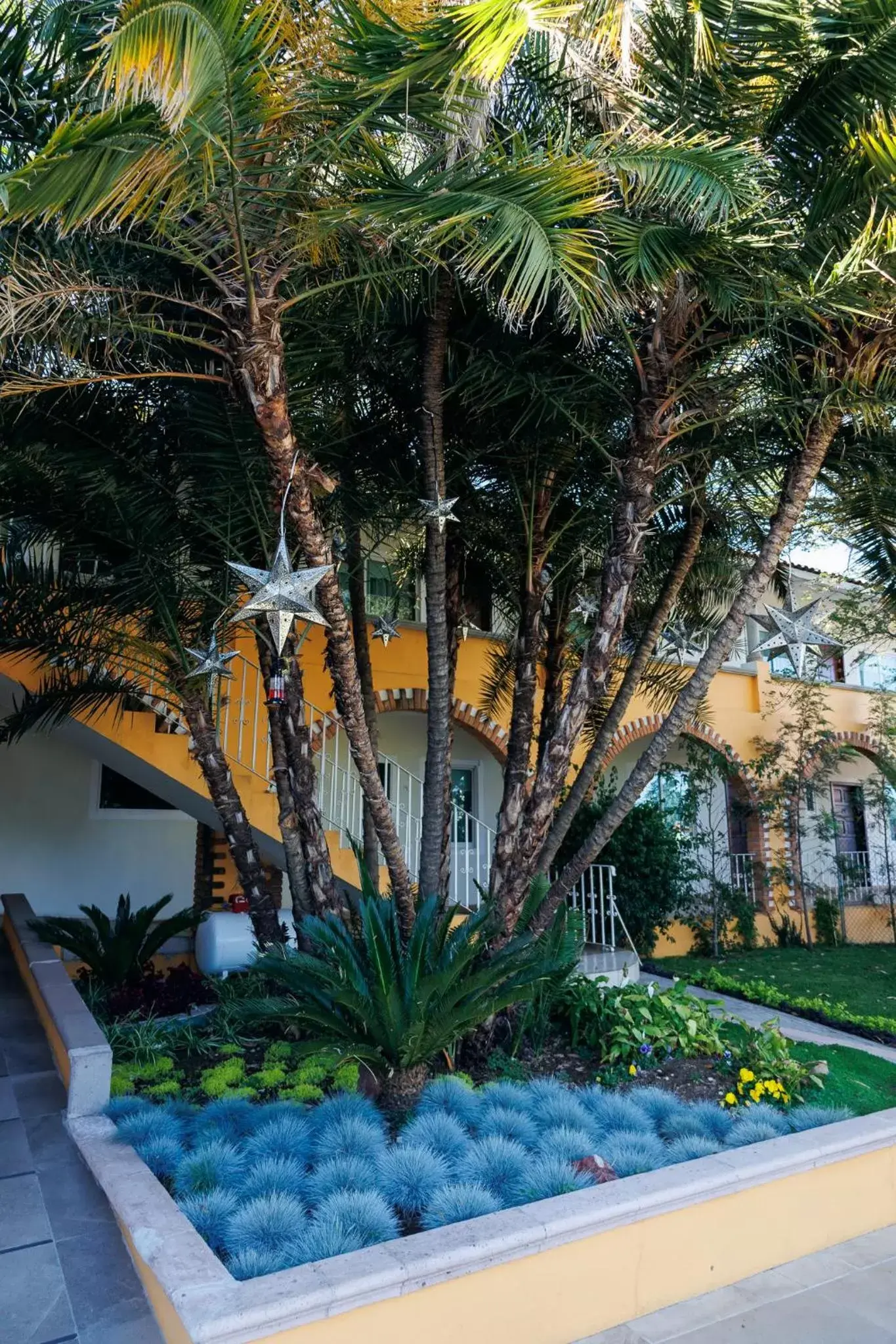 Garden in Hotel Hacienda Montesinos