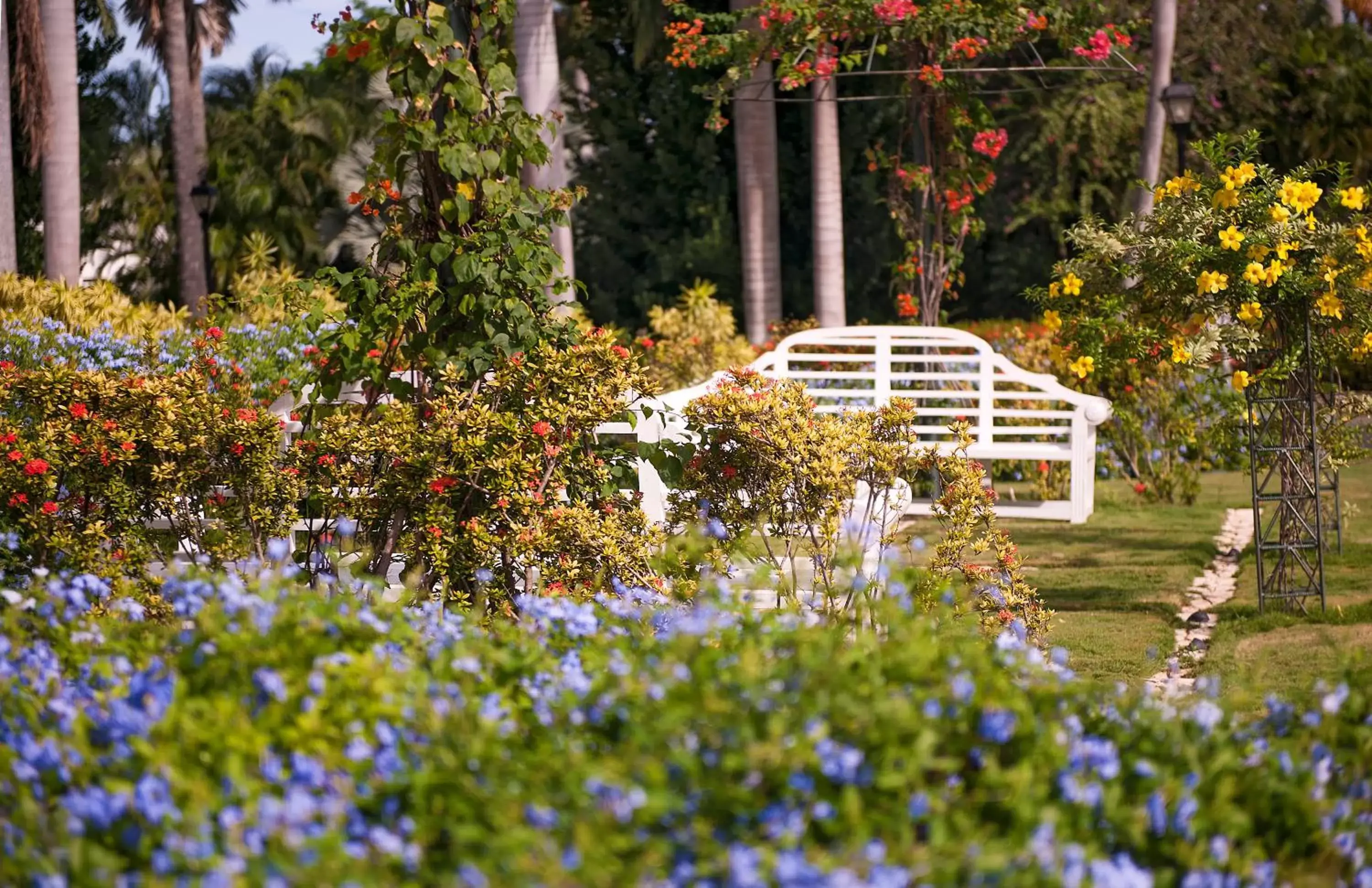 Garden, Property Building in Half Moon