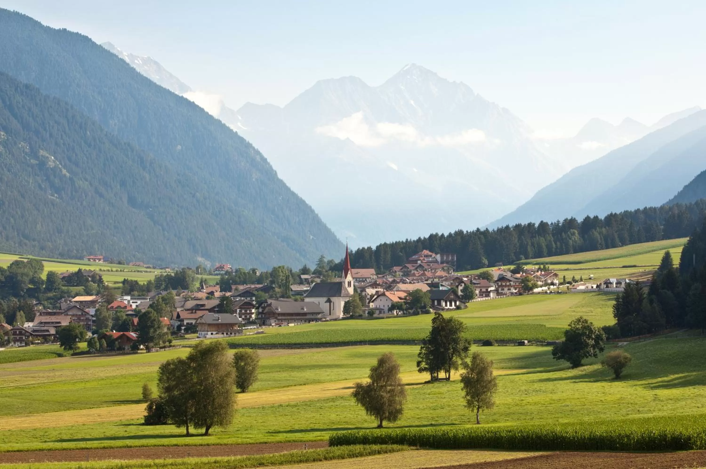 Area and facilities in Frida am Wald