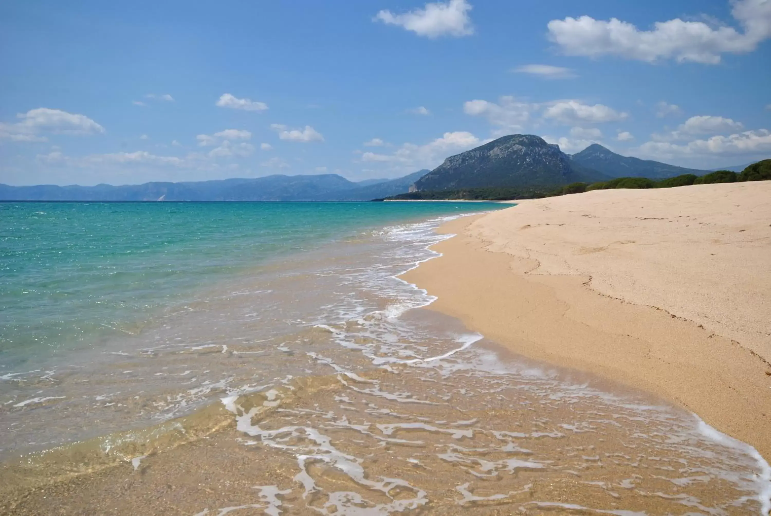 Beach in Holiday Residence Rifugio