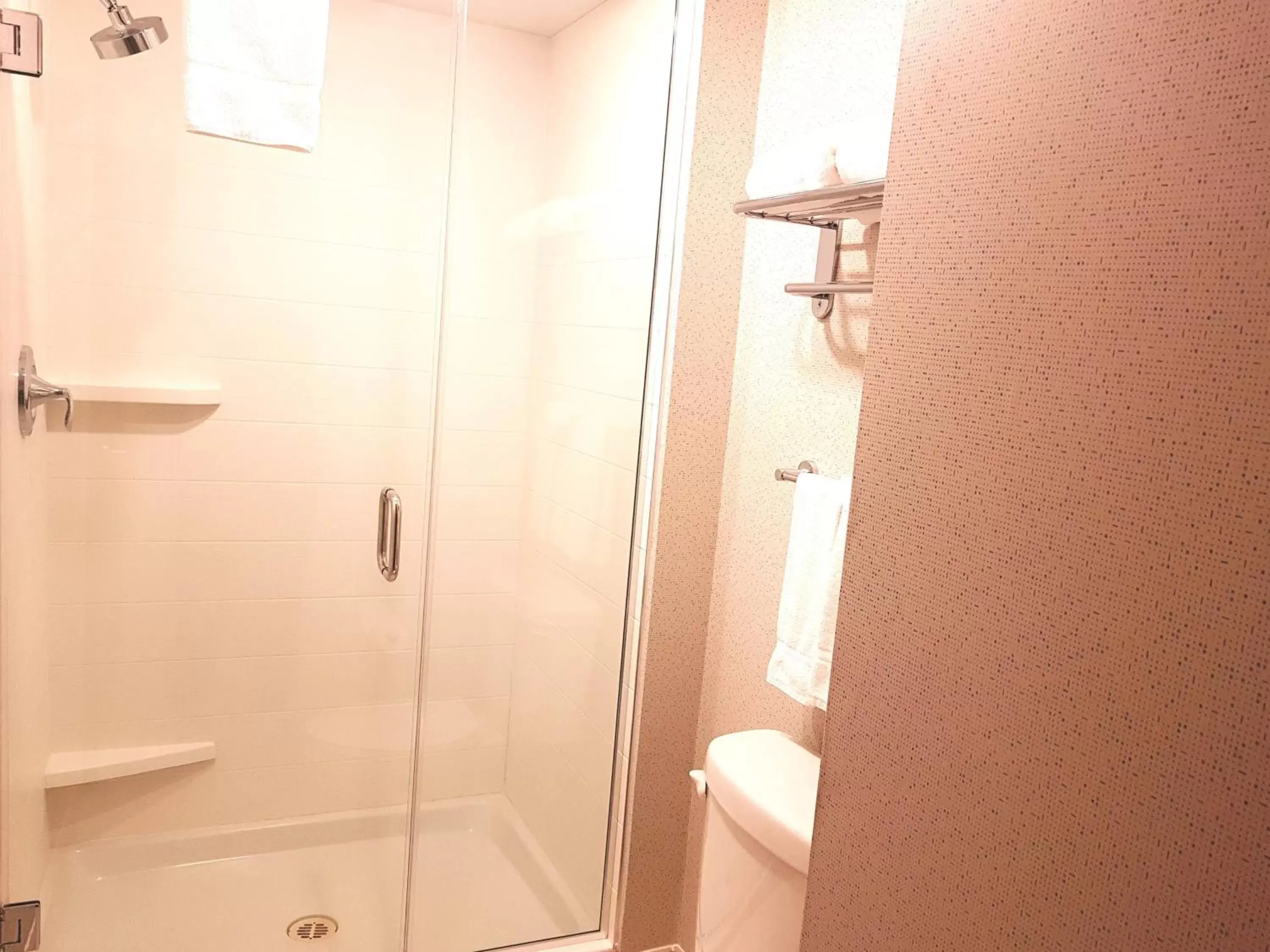 Bathroom in Holiday Inn Express and Suites Surrey, an IHG Hotel