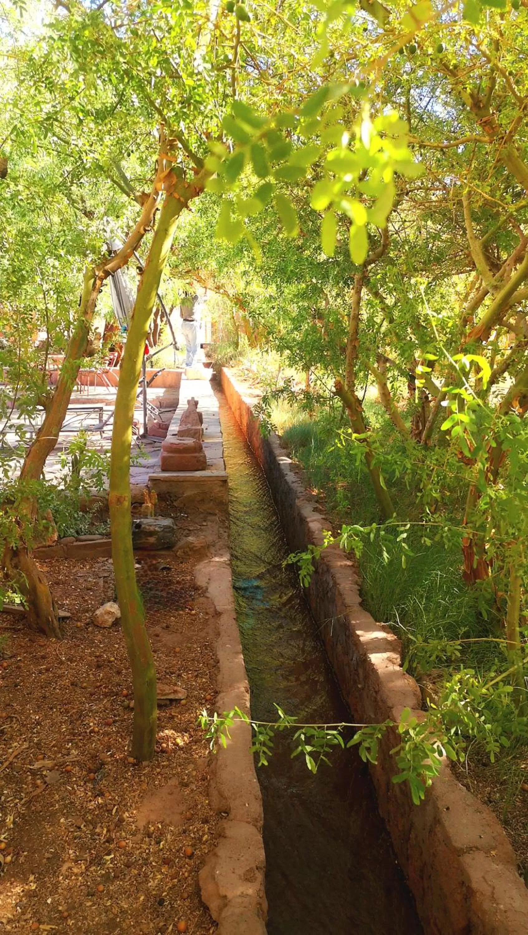 Garden in Hotel Tulor