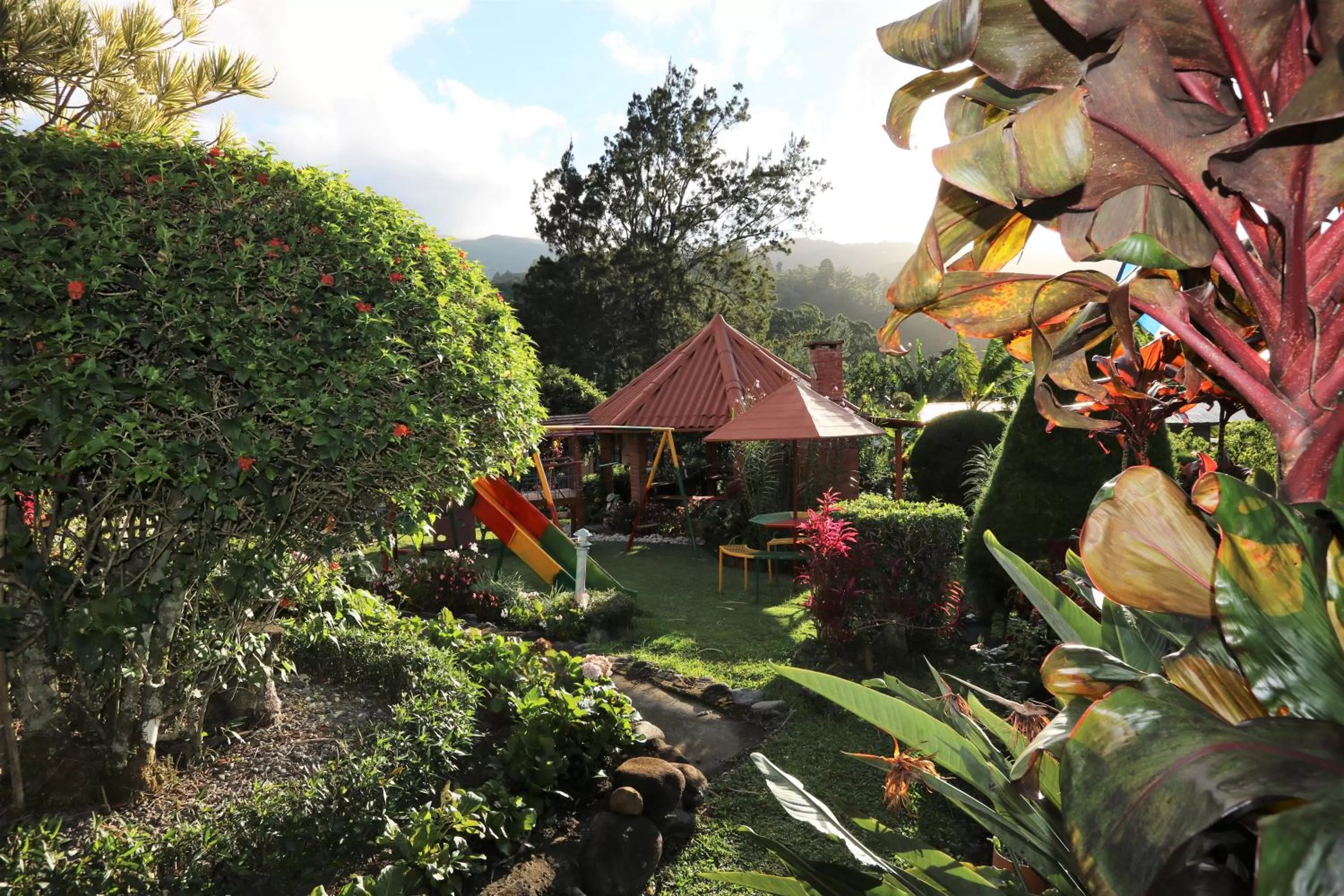 Garden in Aparthotel Los Pinos