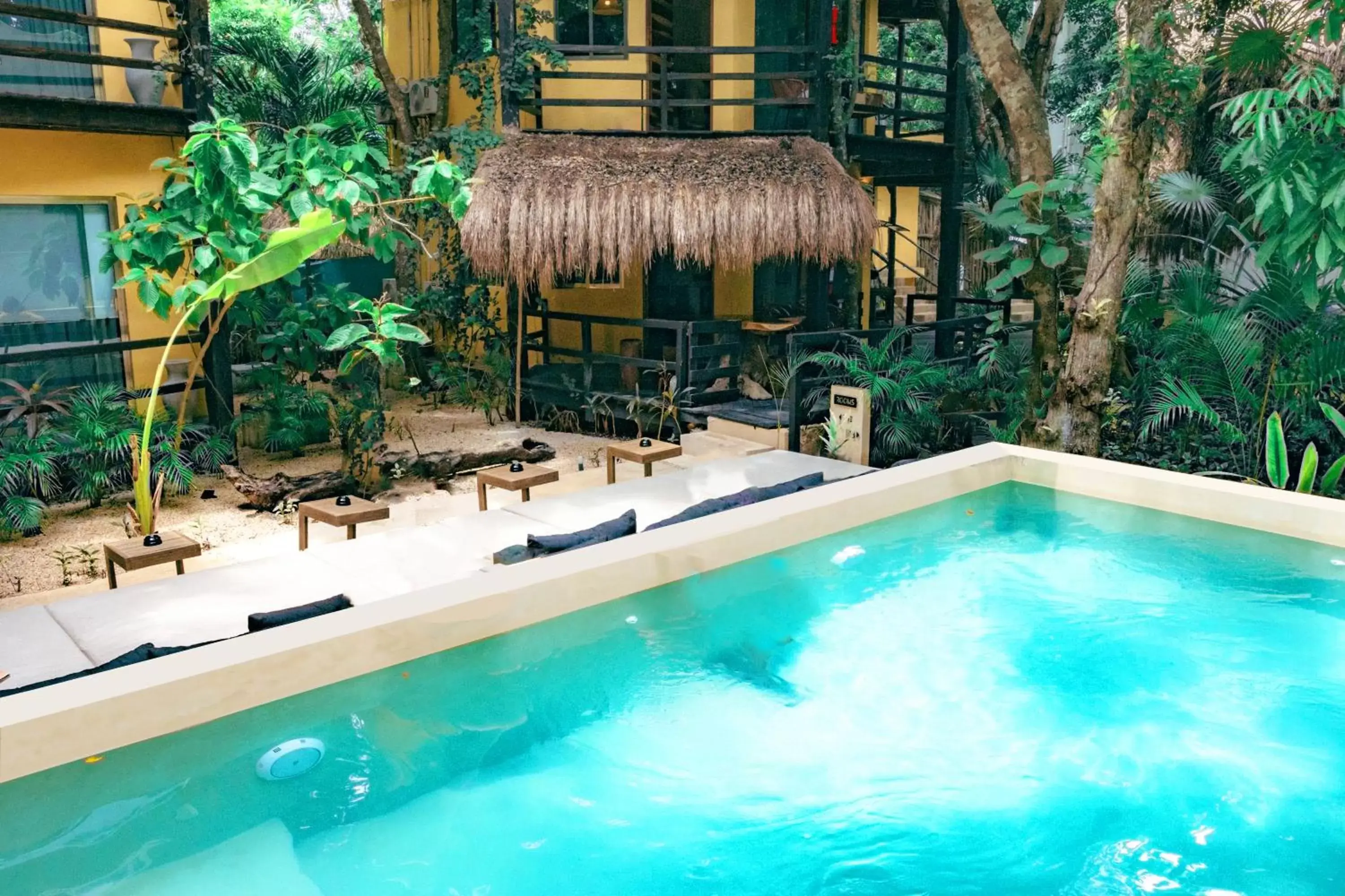 Garden, Swimming Pool in Terasu Riviera Maya Hotel & Spa, en Xcaret