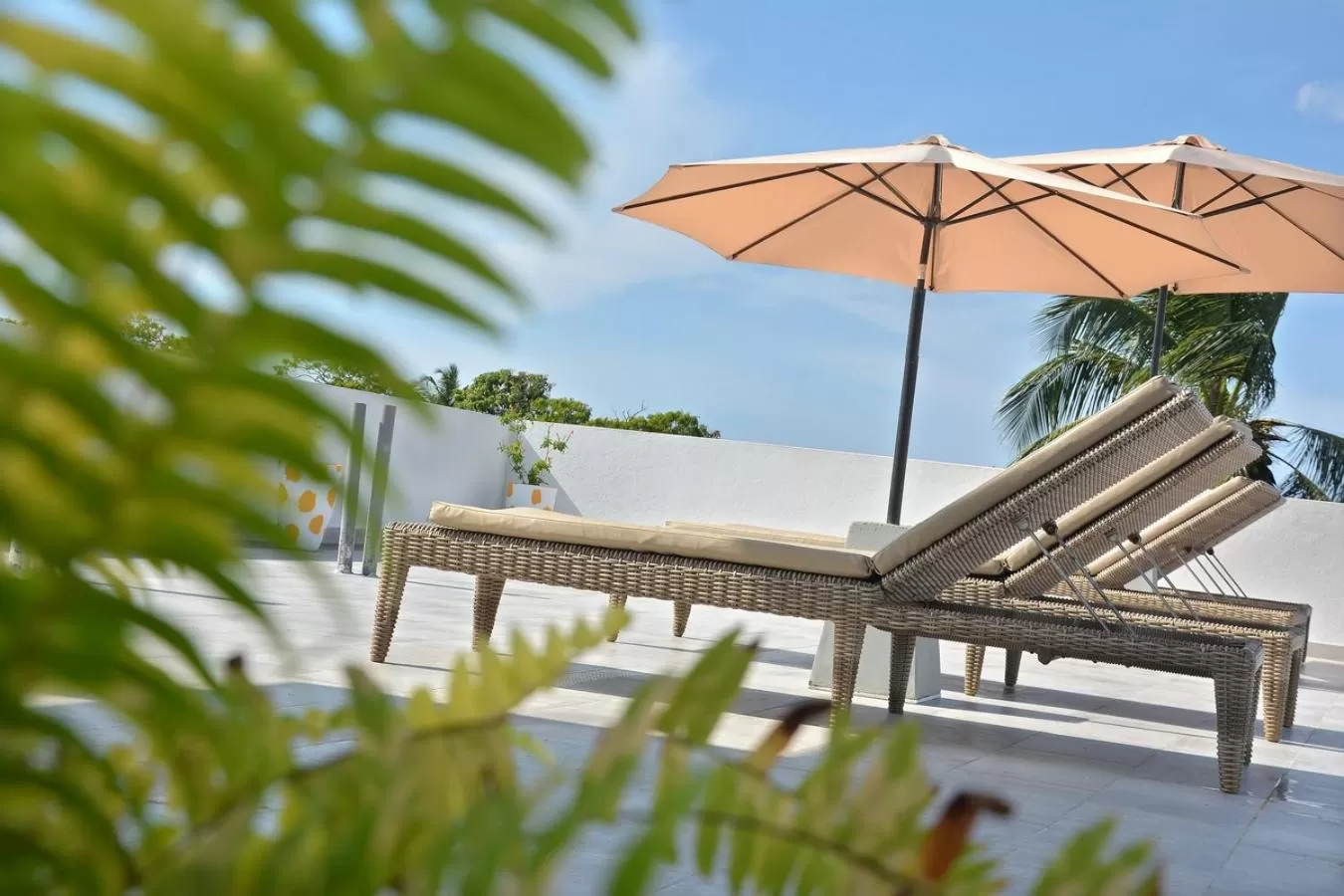 Balcony/Terrace in Negombo New Queen's Palace