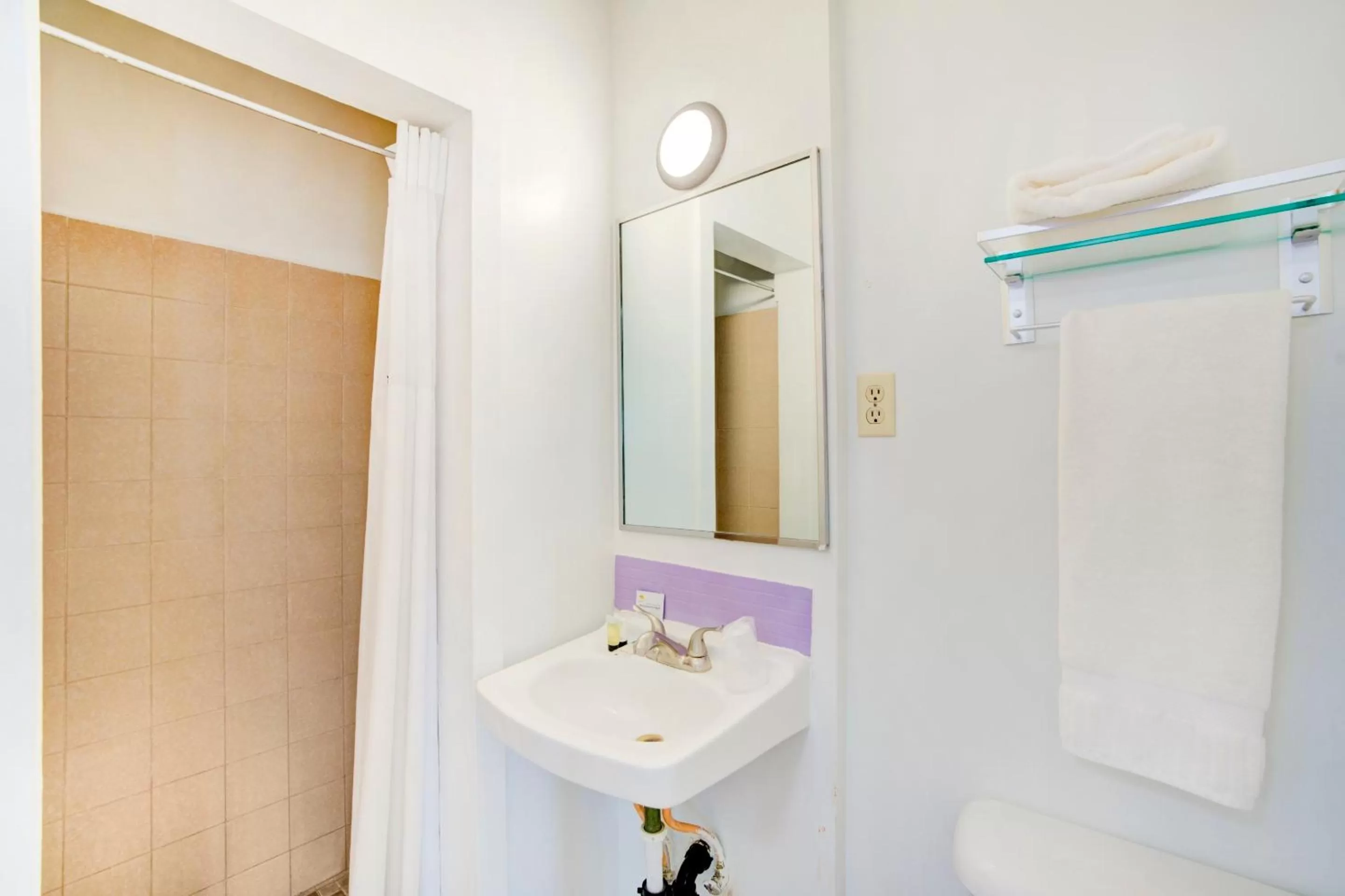 Shower in Rose's Motel