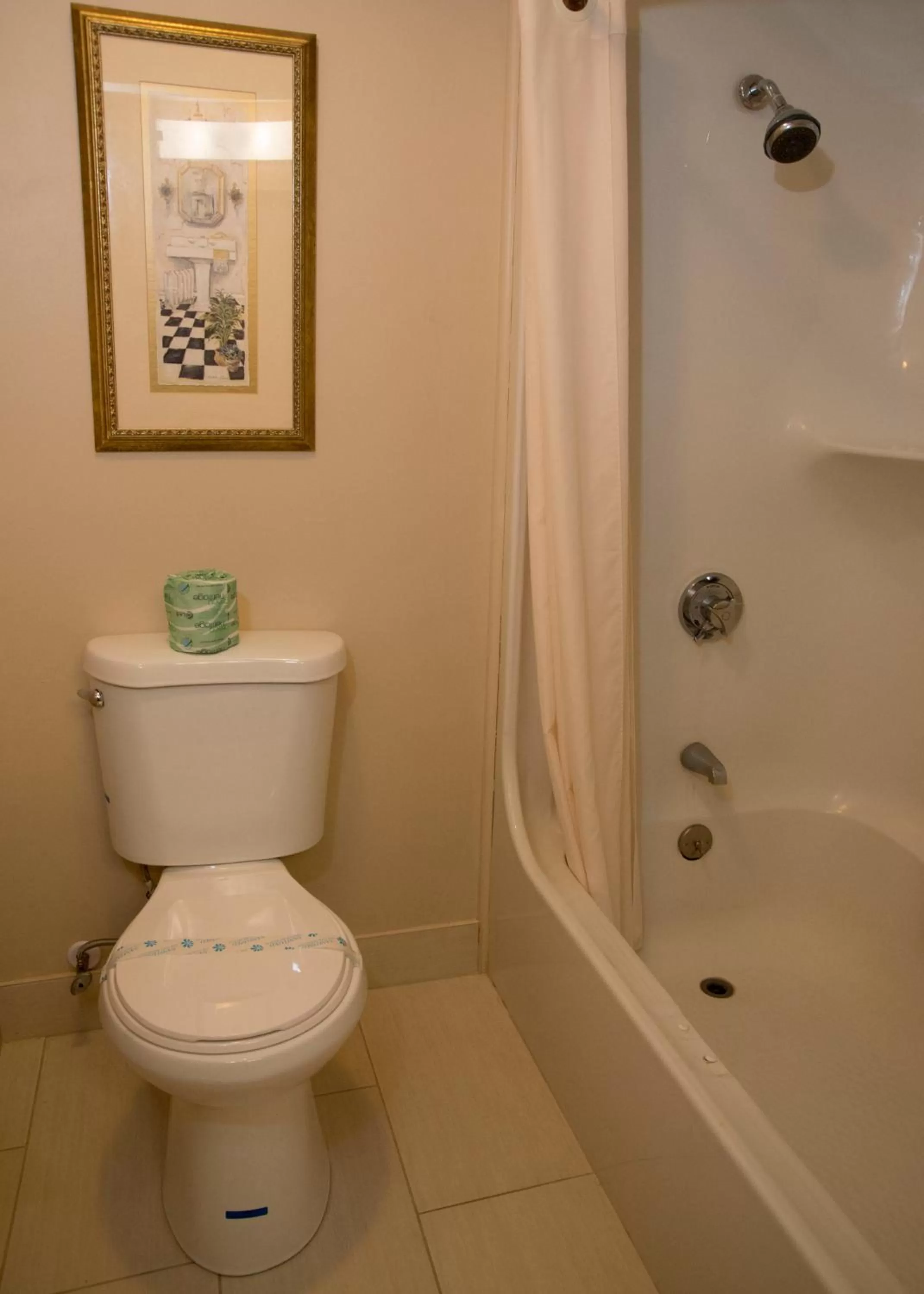 Shower in Hampton Falls Inn