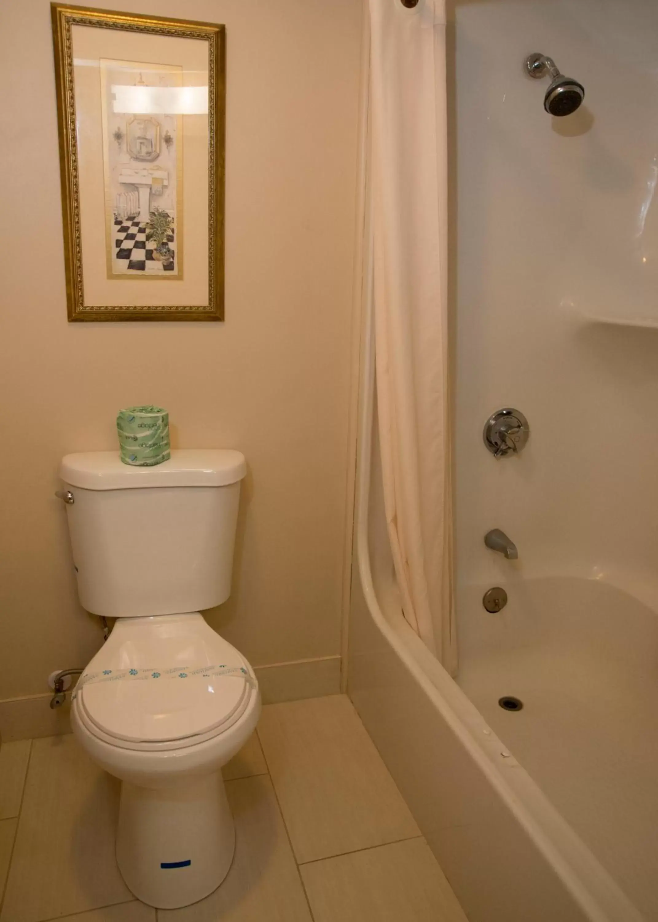 Shower, Bathroom in Hampton Falls Inn