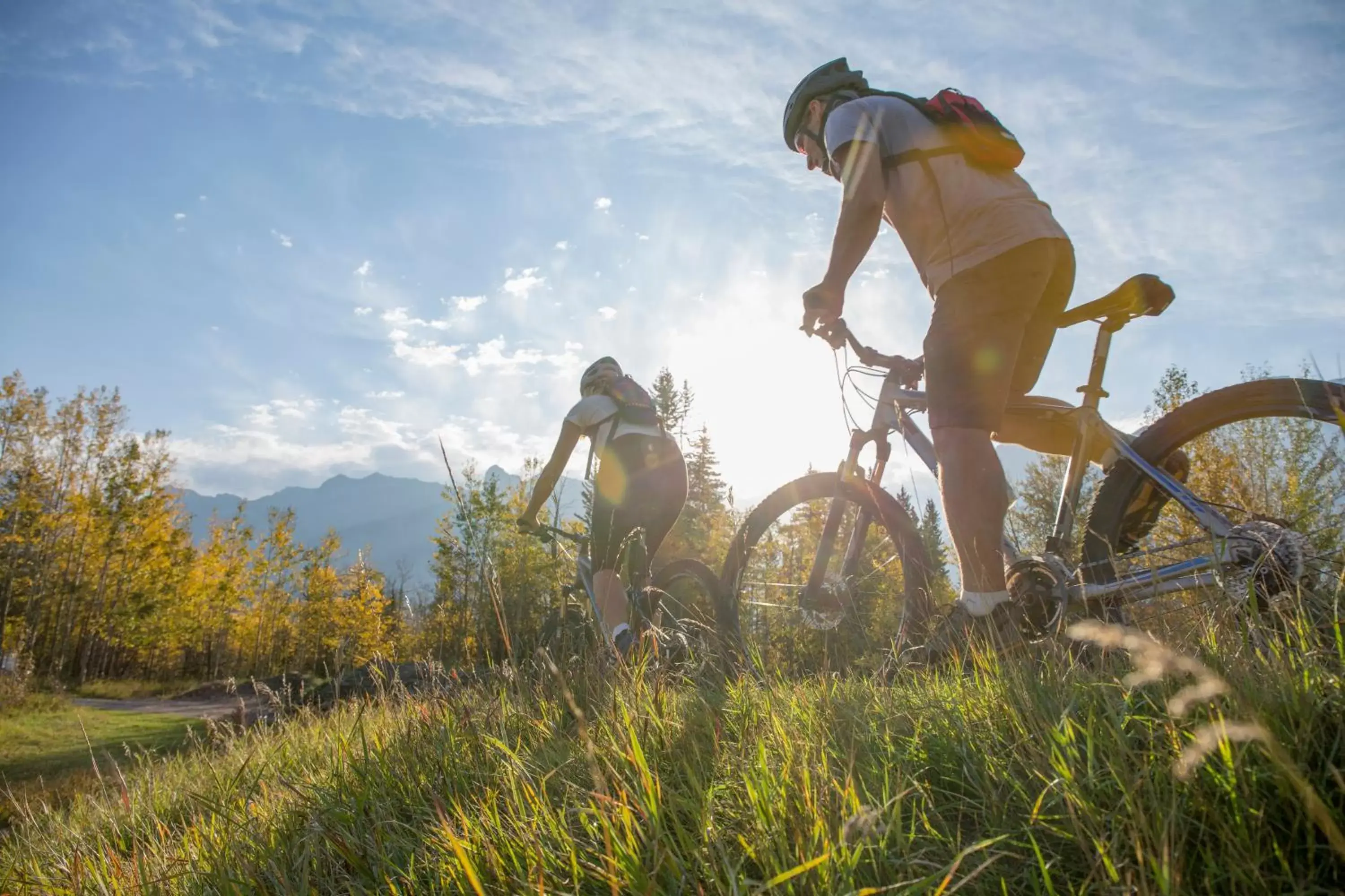 Activities, Biking in JOHANN Schladming