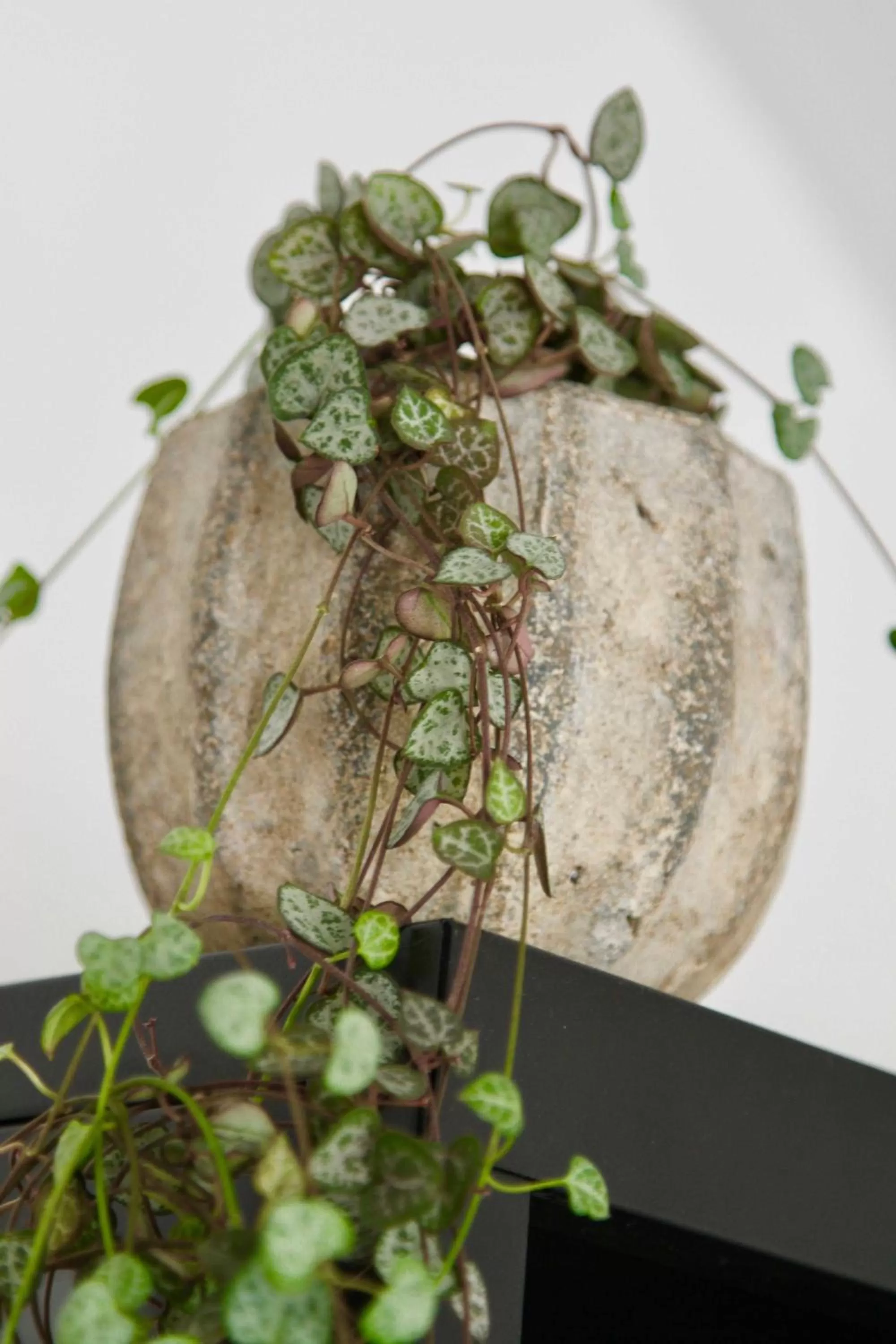 Decorative detail in Chequers Inn