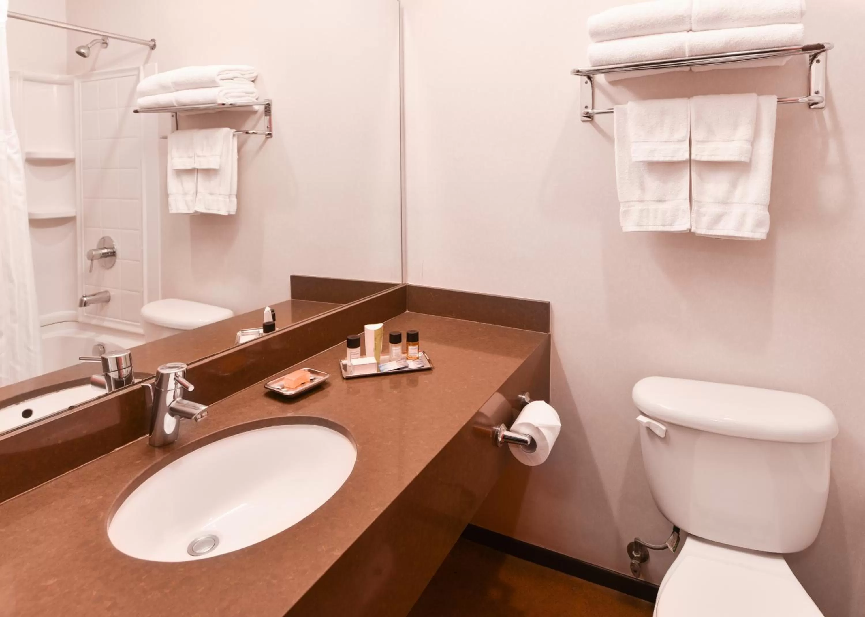 Toilet in The Tangerine - a Burbank Hotel