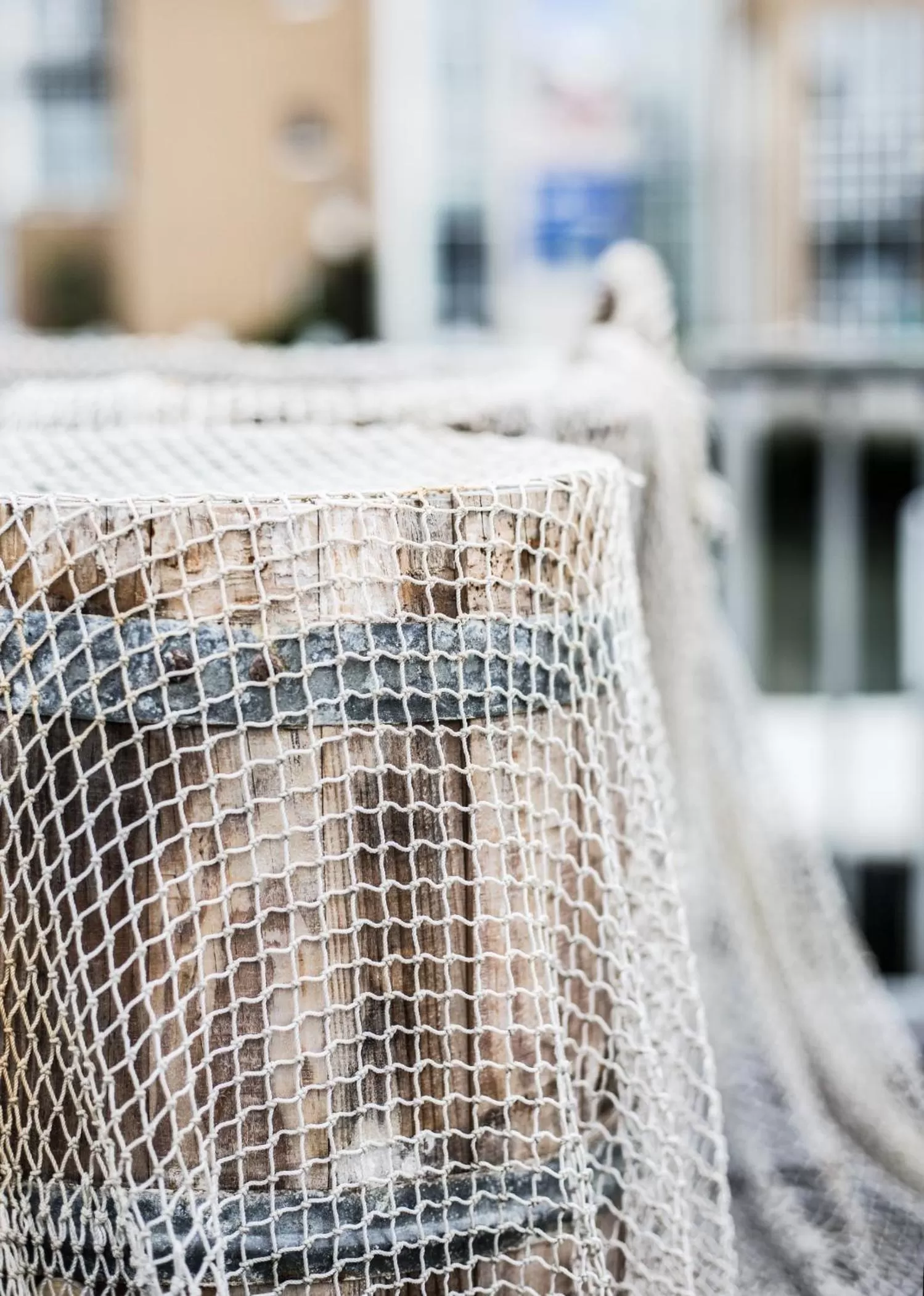 Area and facilities in Hotel Tum Stüürmann