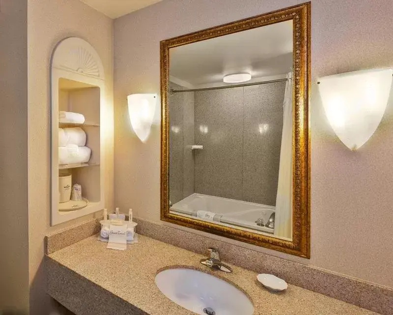 Bathroom in Holiday Inn Express & Suites Dyersburg, an IHG Hotel