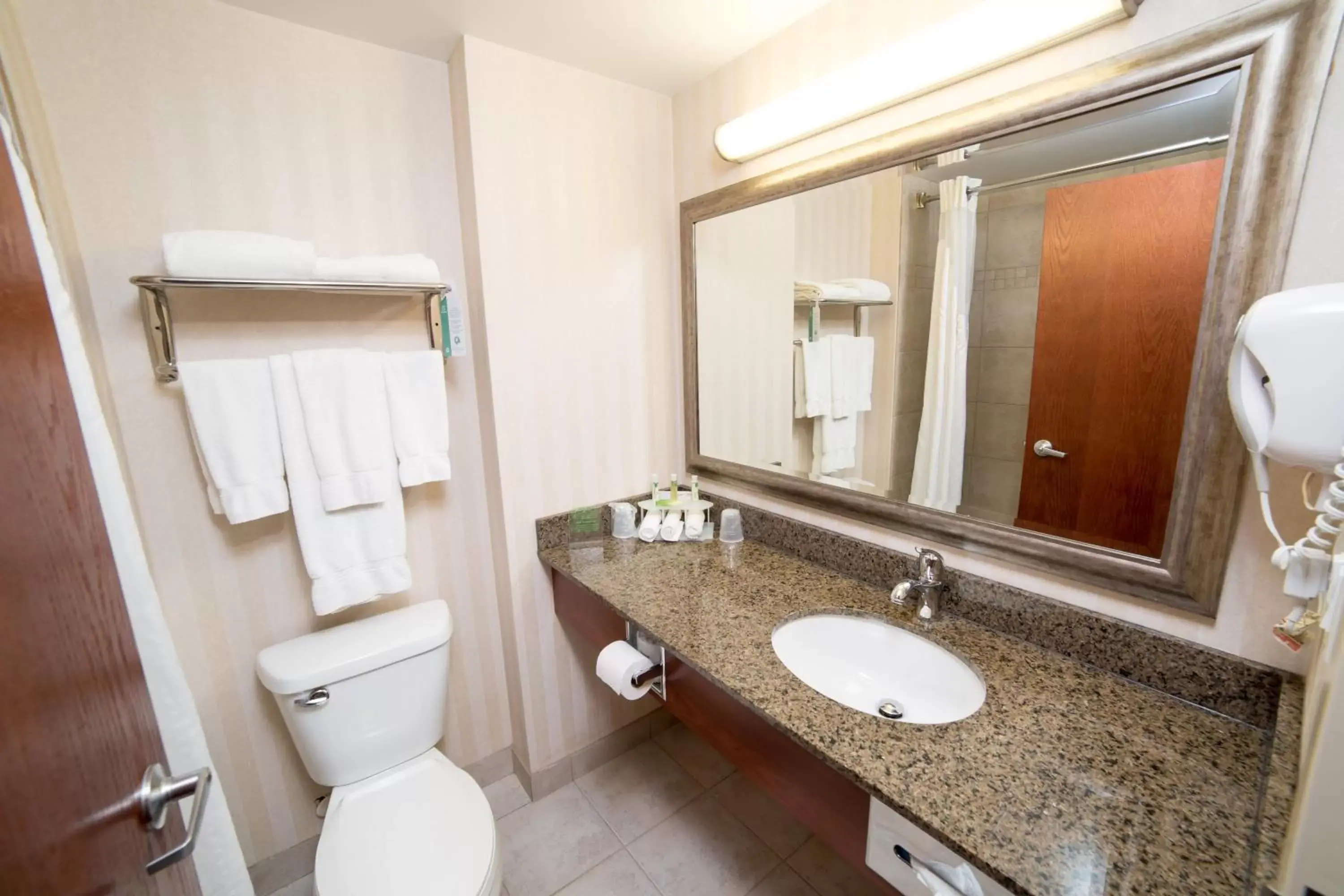Bathroom in Holiday Inn Express & Suites Drayton Valley, an IHG Hotel