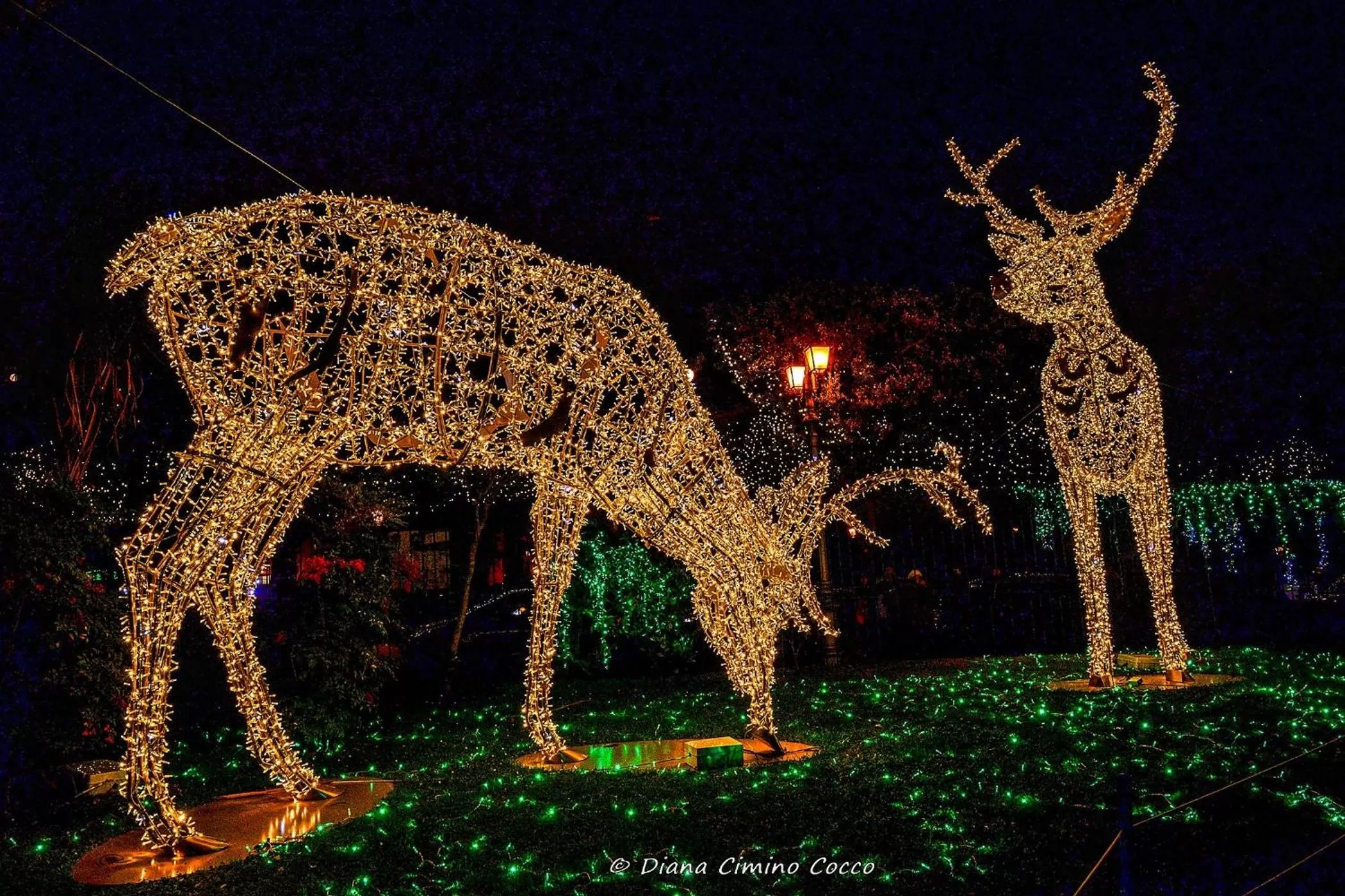 Nearby landmark in B&B Salerno IN Centro