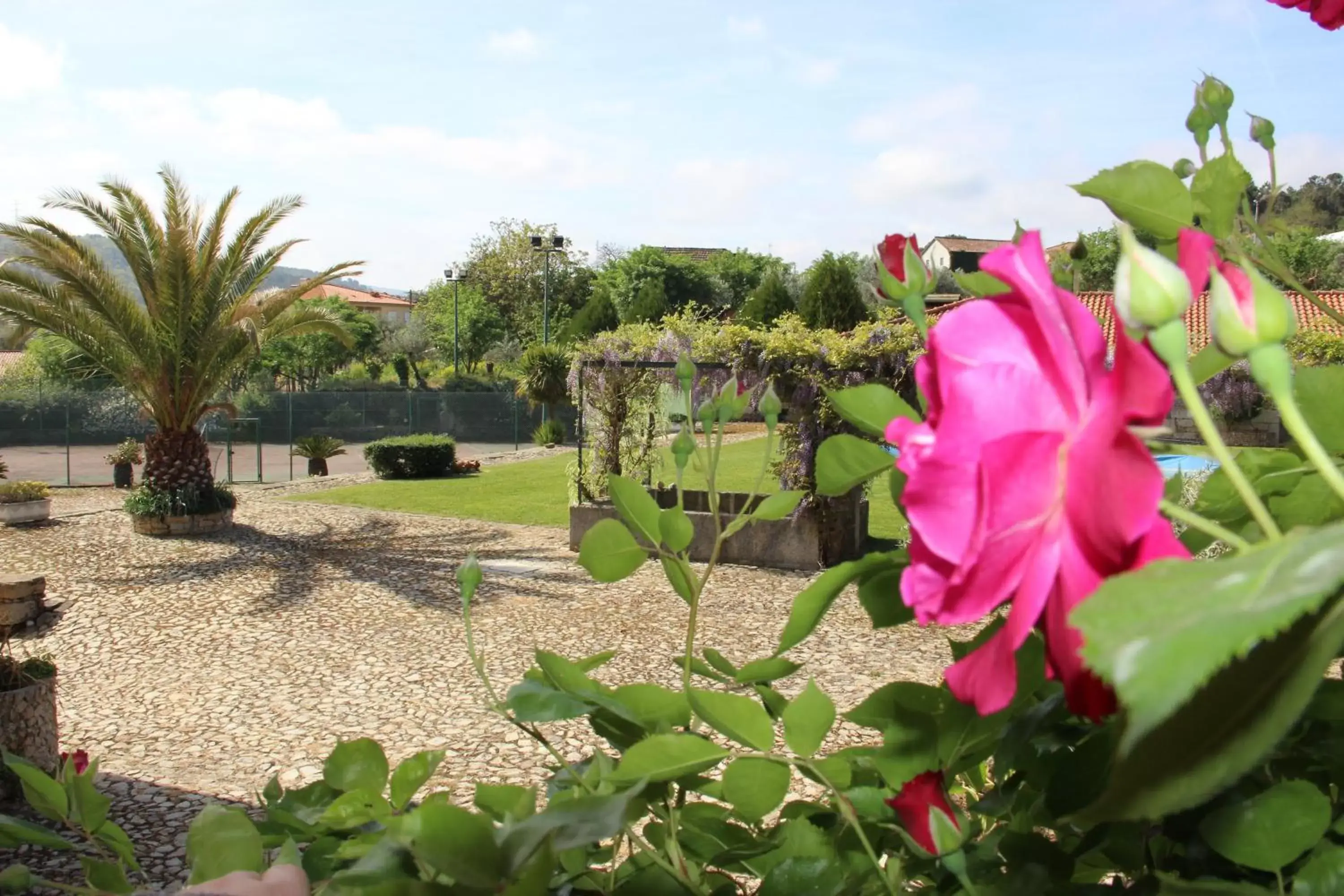 Garden in Quinta da Vinha Morta