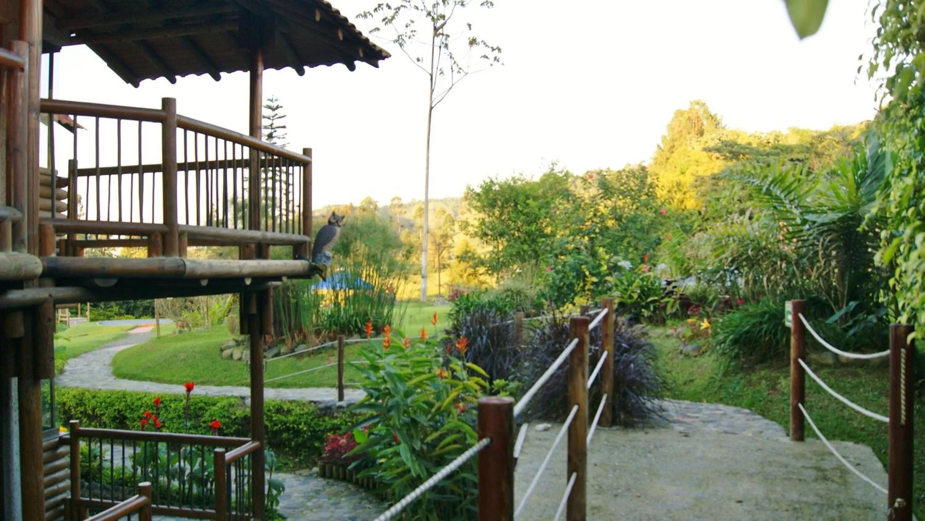 Garden in Matisses Hotel & Spa