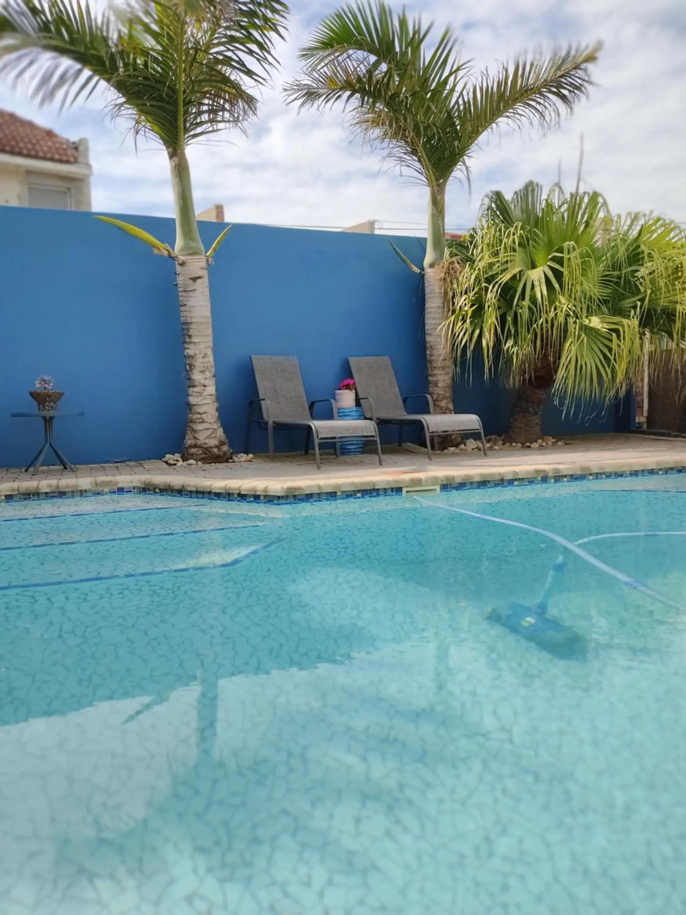 Swimming Pool in Palm Beach Guesthouse