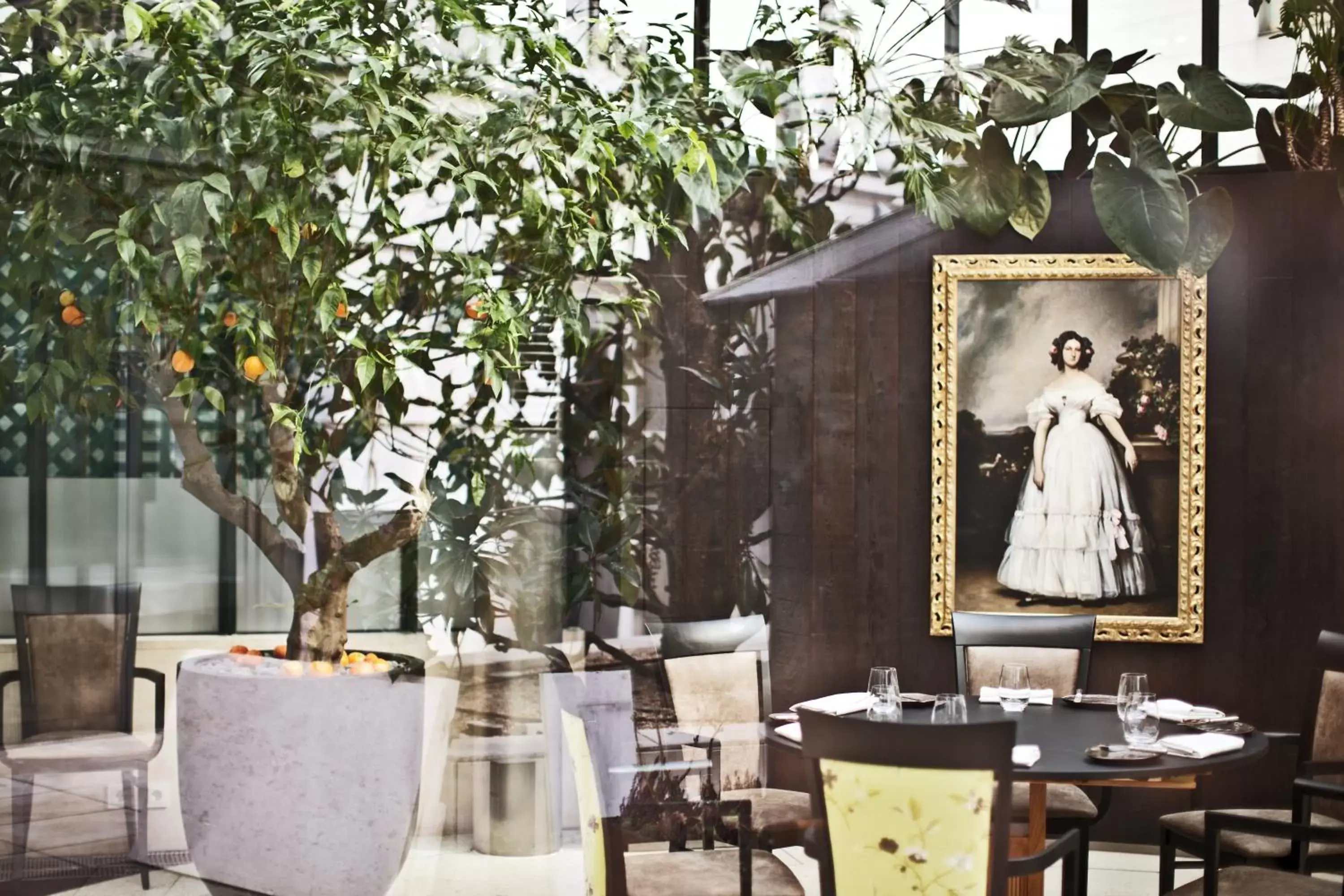 Restaurant/places to eat in Palais Coburg Hotel Restaurant/places to eat in Palais Coburg Hotel