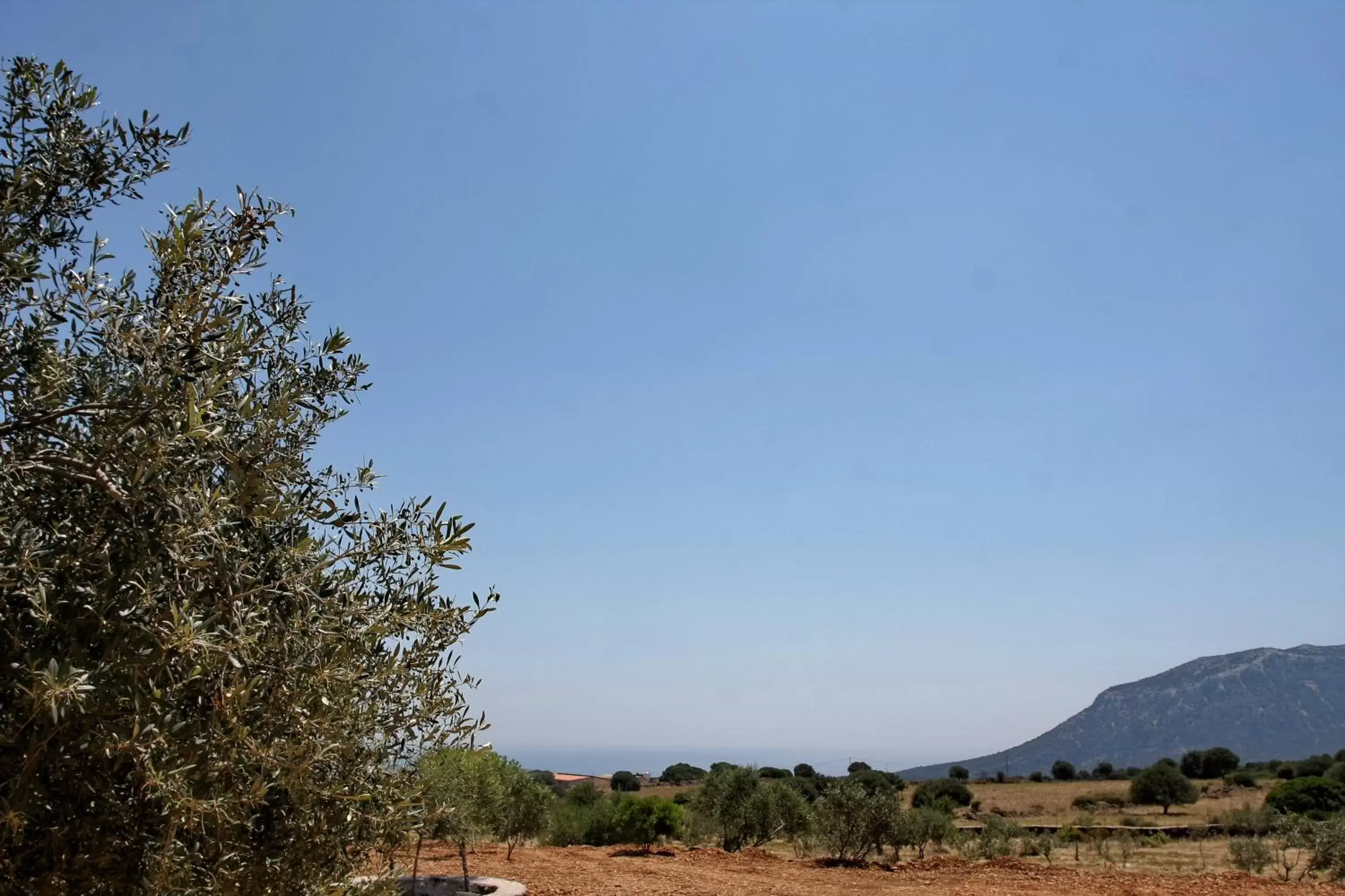 Sea view in Tenute Efis