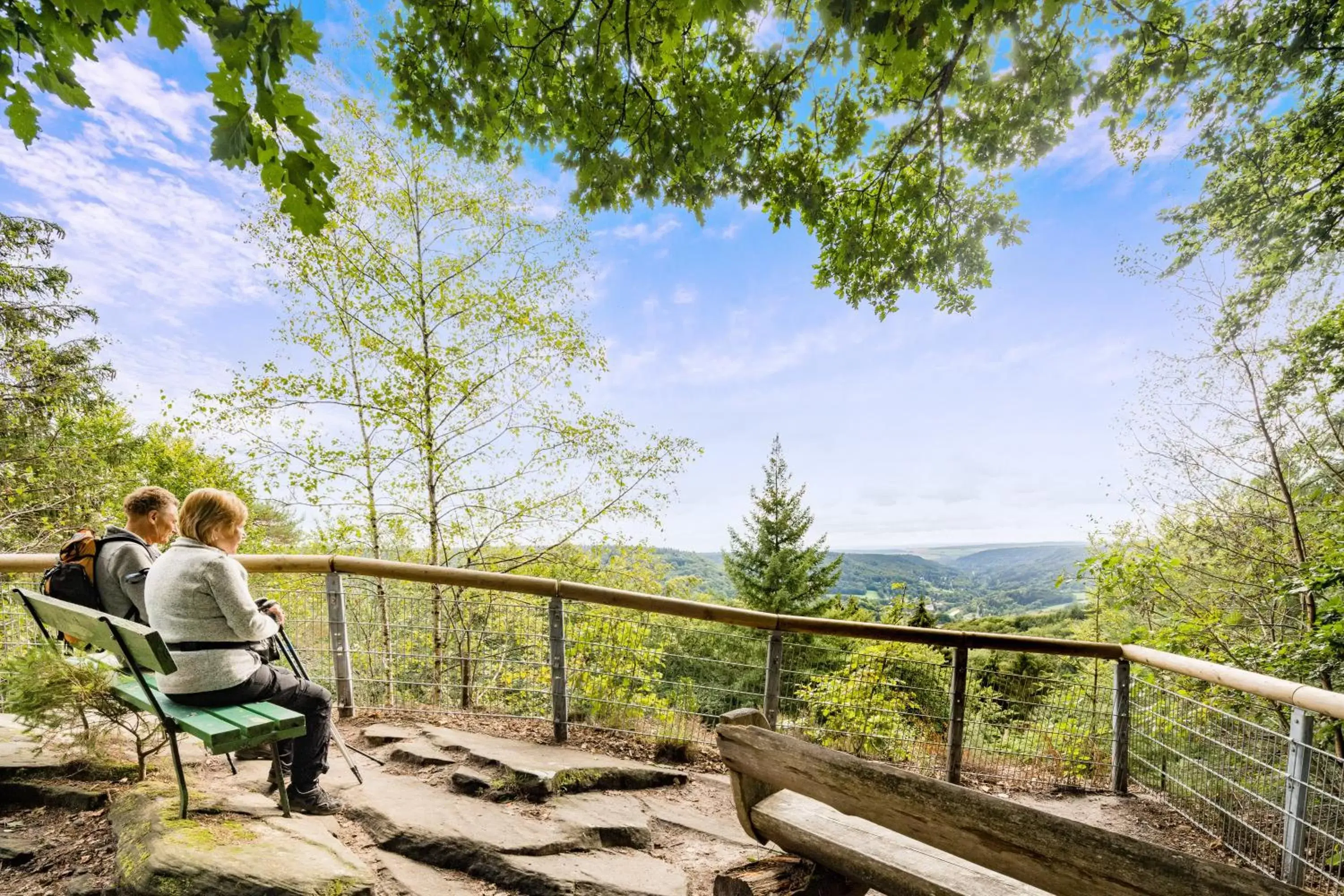 Natural landscape in Waldhotel Sonnenberg