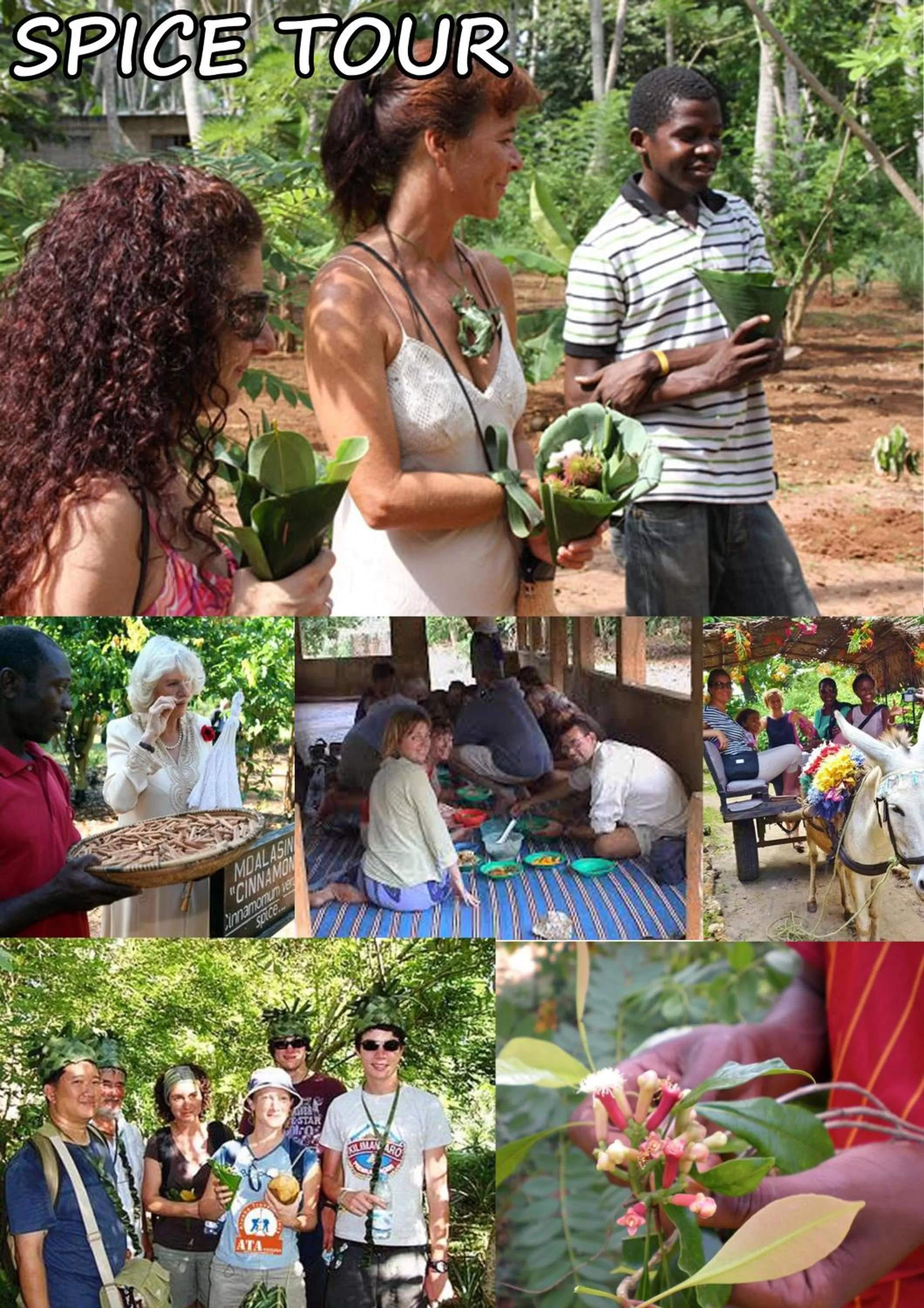 Baraka Aquarium Bungalows