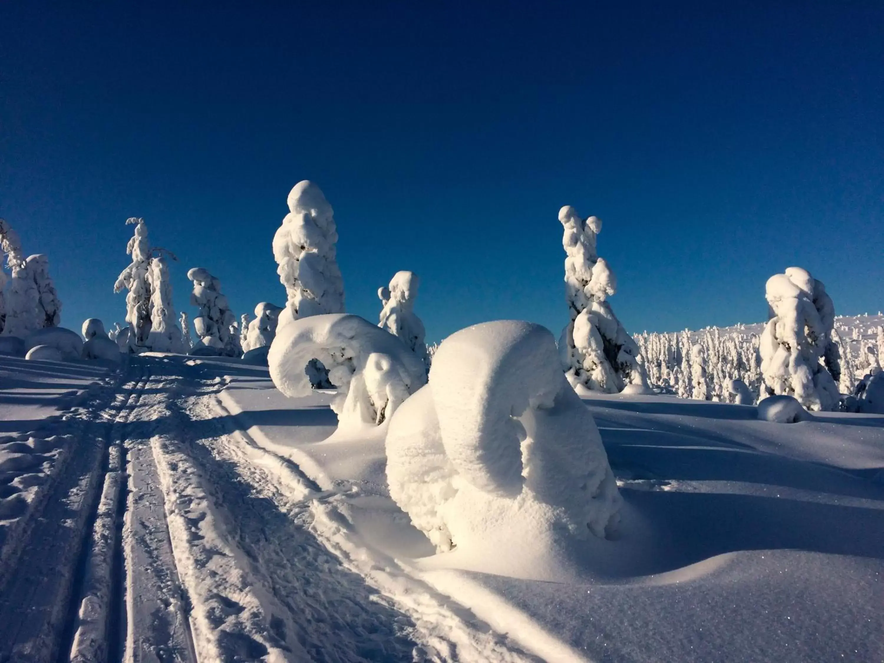 Natural landscape, Winter in Holiday Club Kuusamon Tropiikki