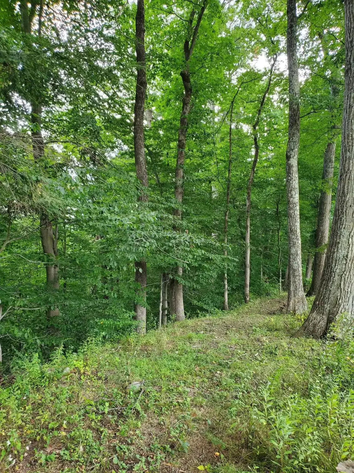 Natural Landscape in Glenwood Inn & Conference Center