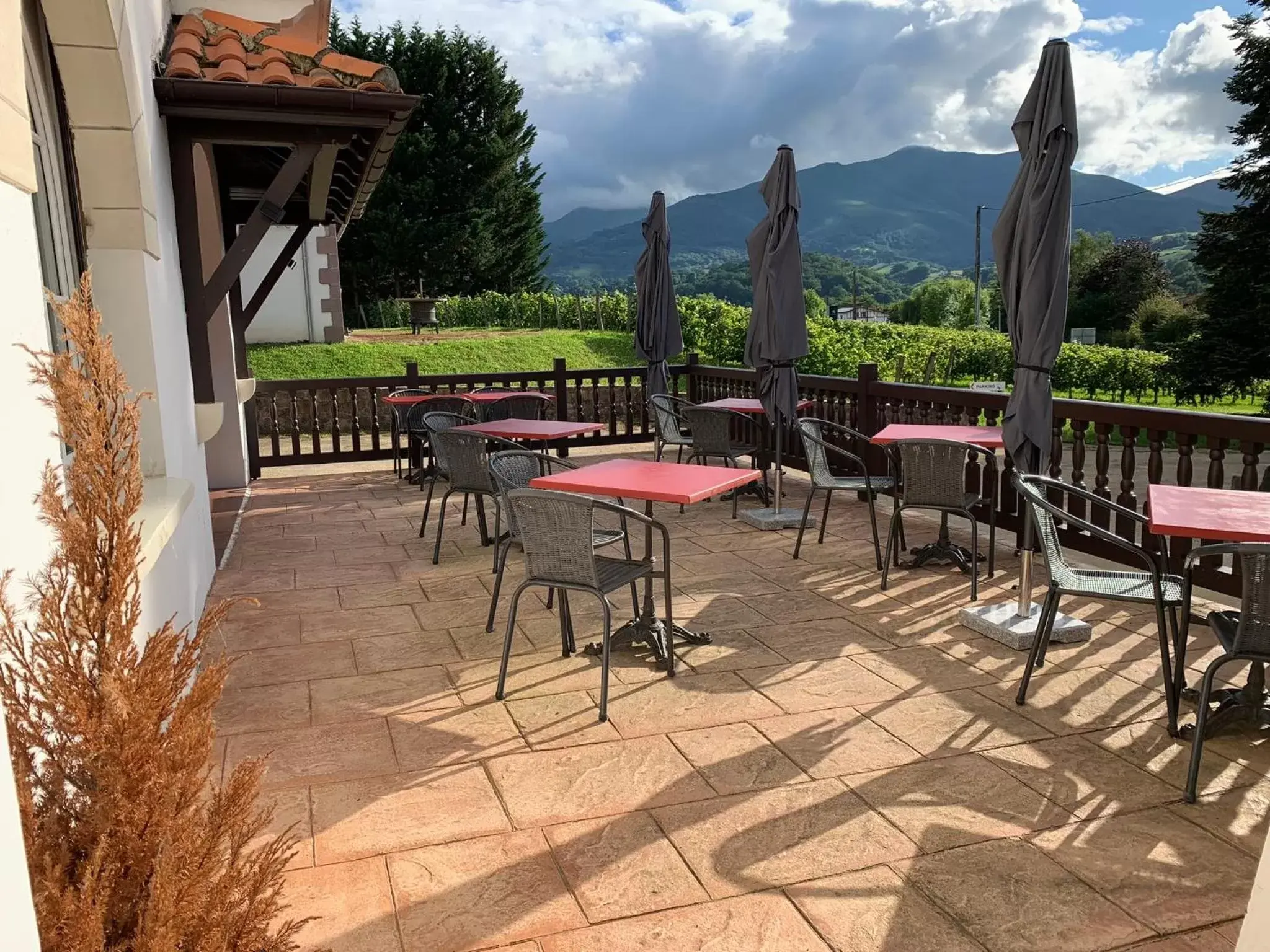 Patio in Villa Harriet