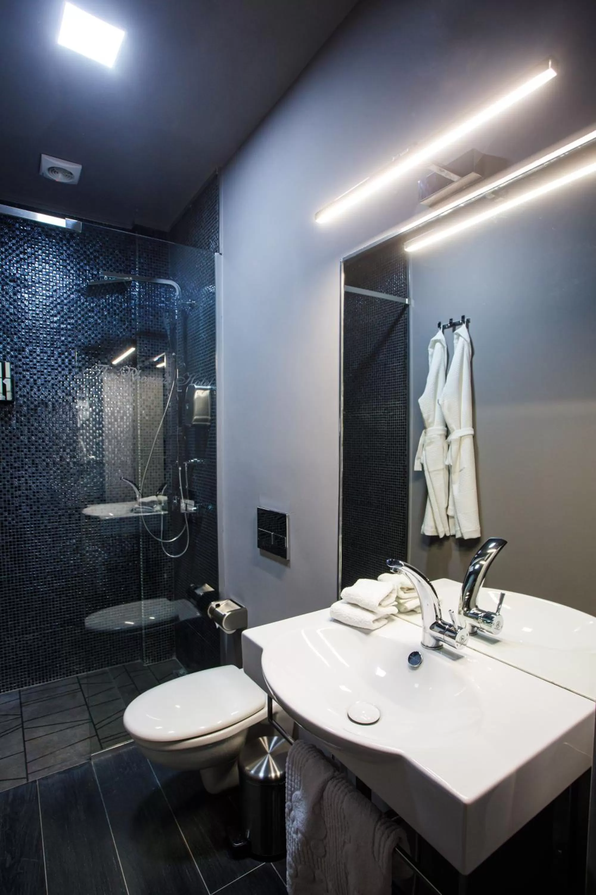 Shower in The Phoenix Boutique Hotel