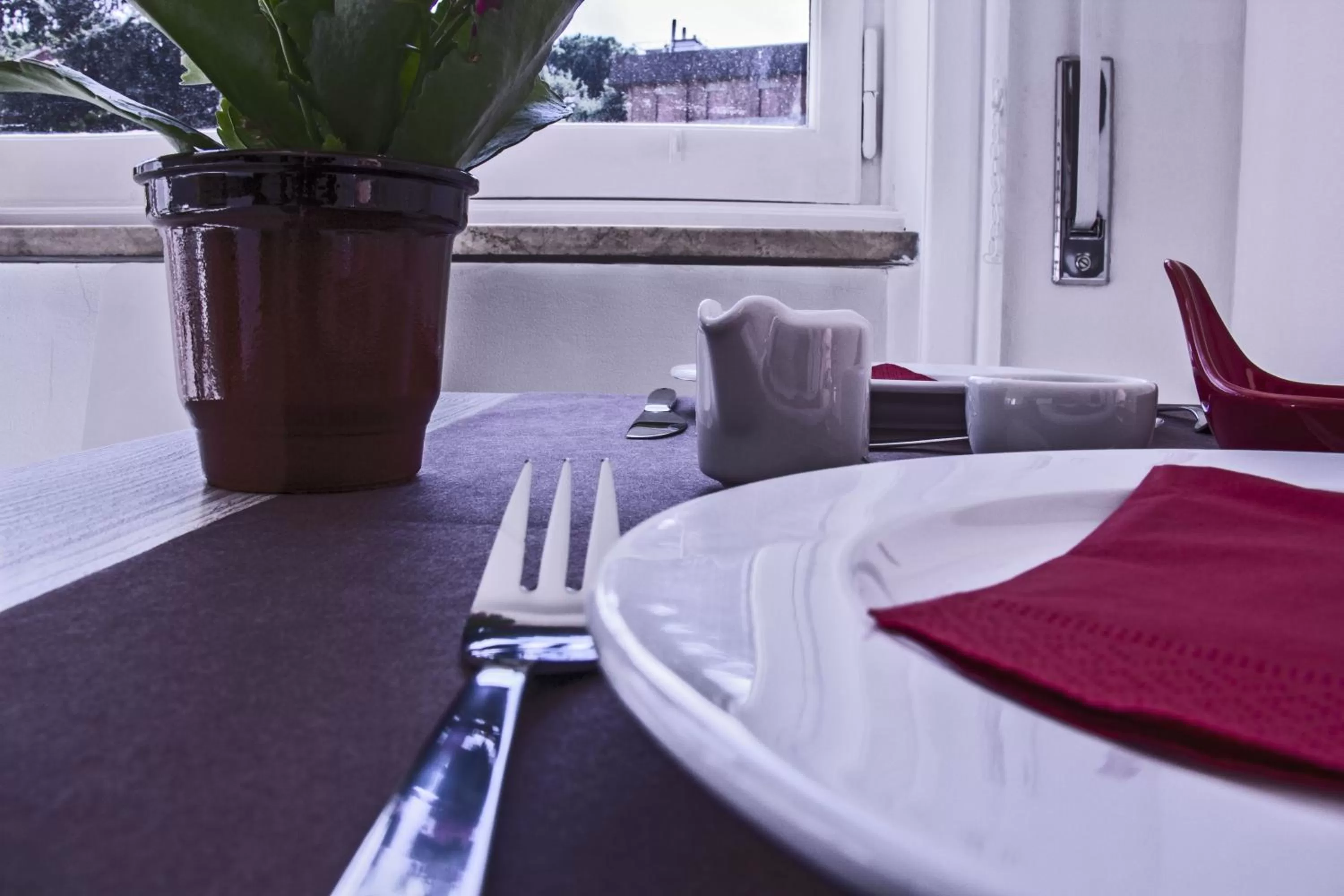 Restaurant/places to eat in Domus Raffaello