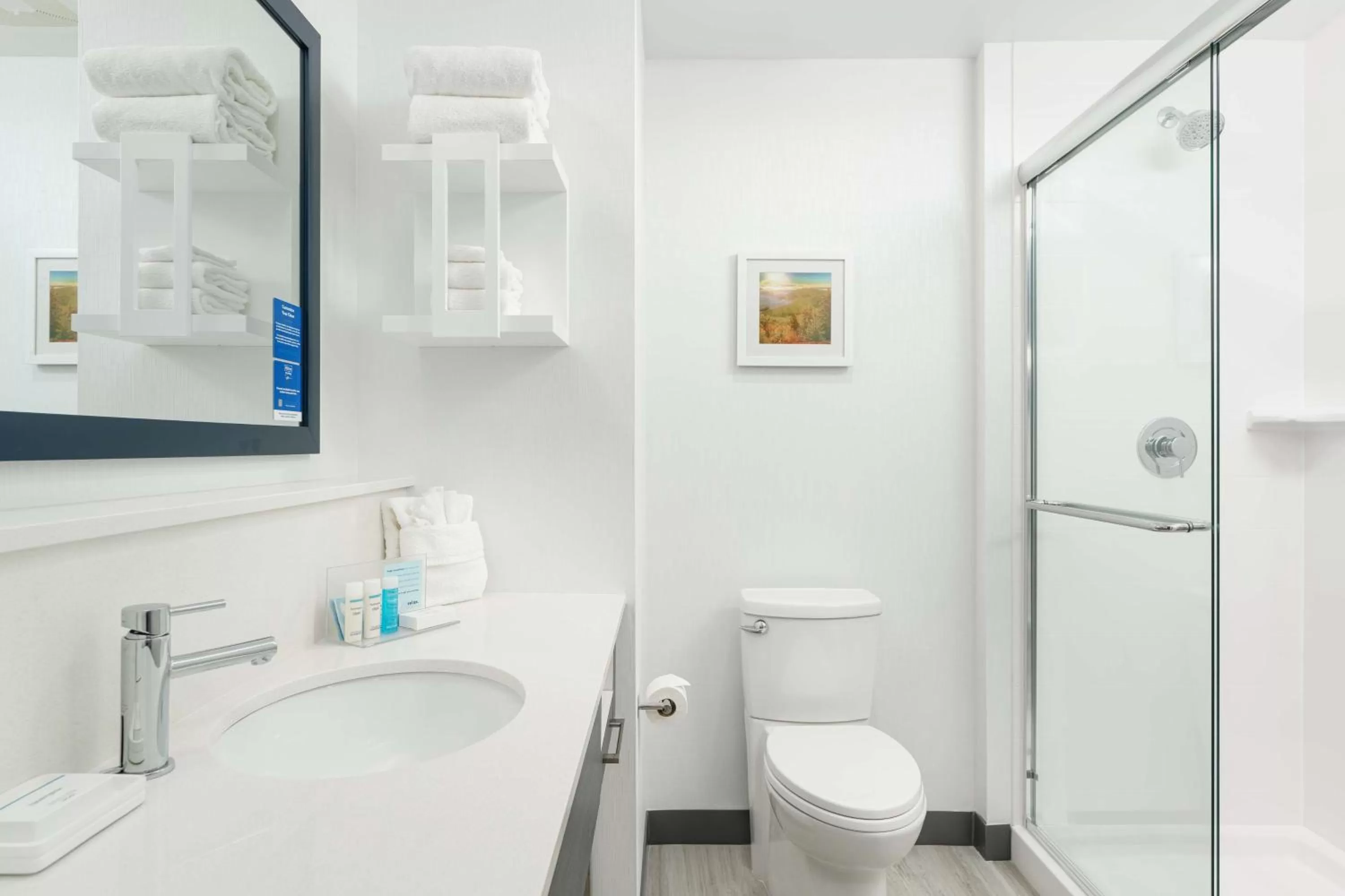 Bathroom in Hampton Inn by Hilton Ashland City, Tn