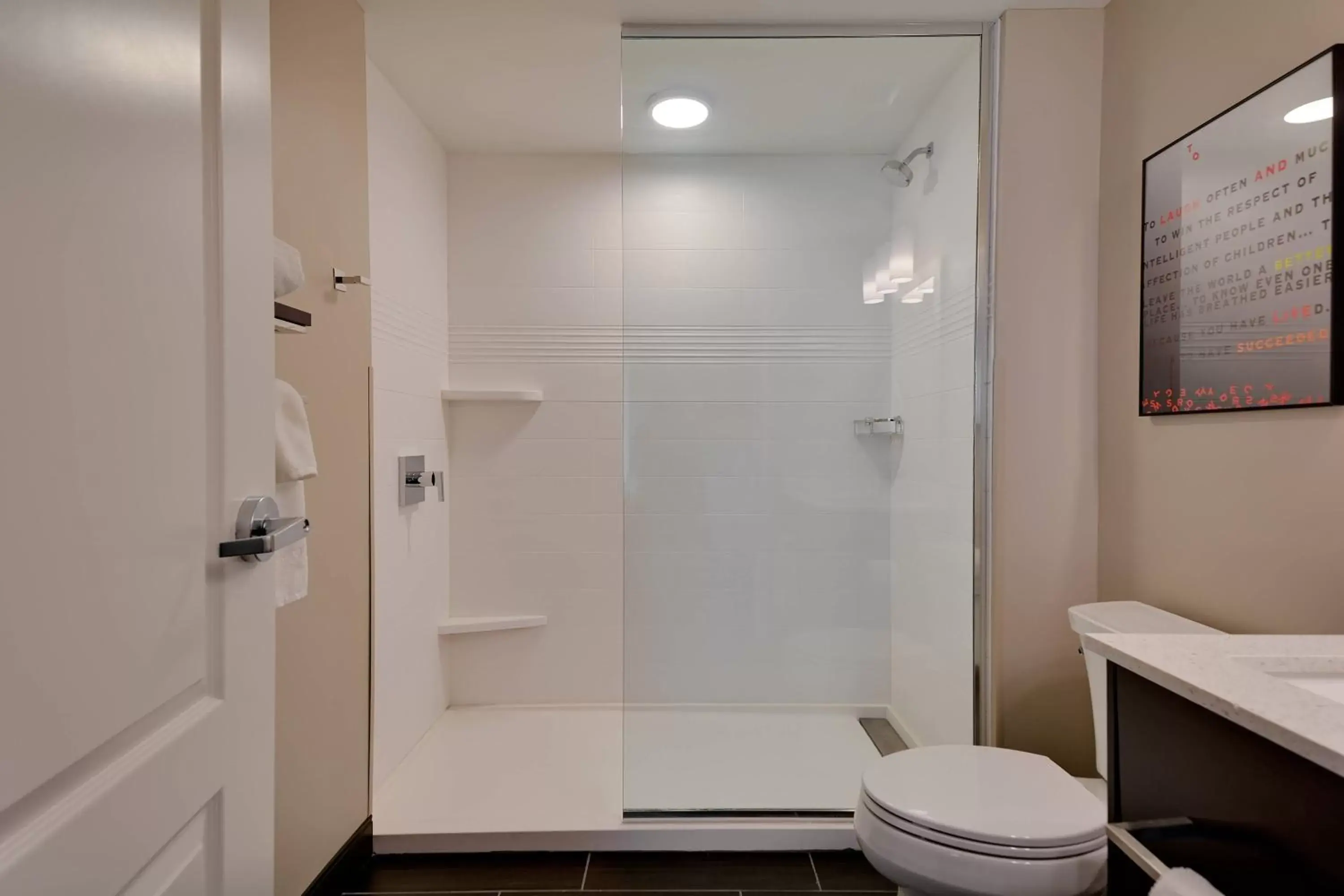 Bathroom in TownePlace Suites by Marriott Detroit Allen Park