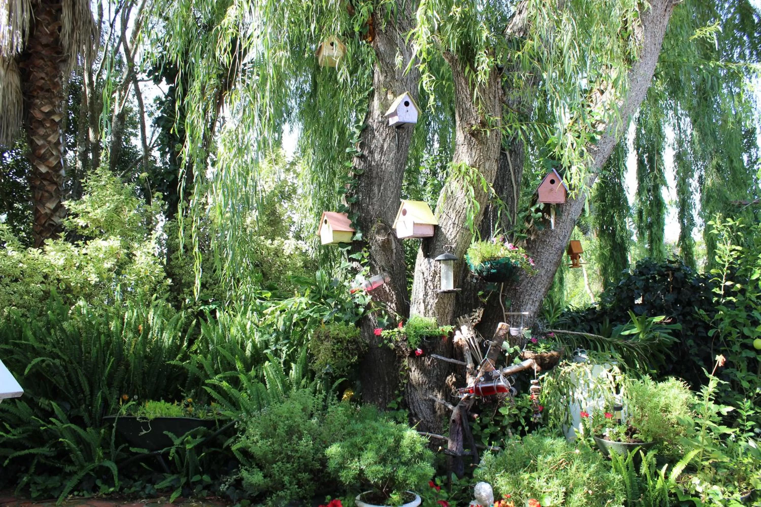 Garden in Aquaelberg Place
