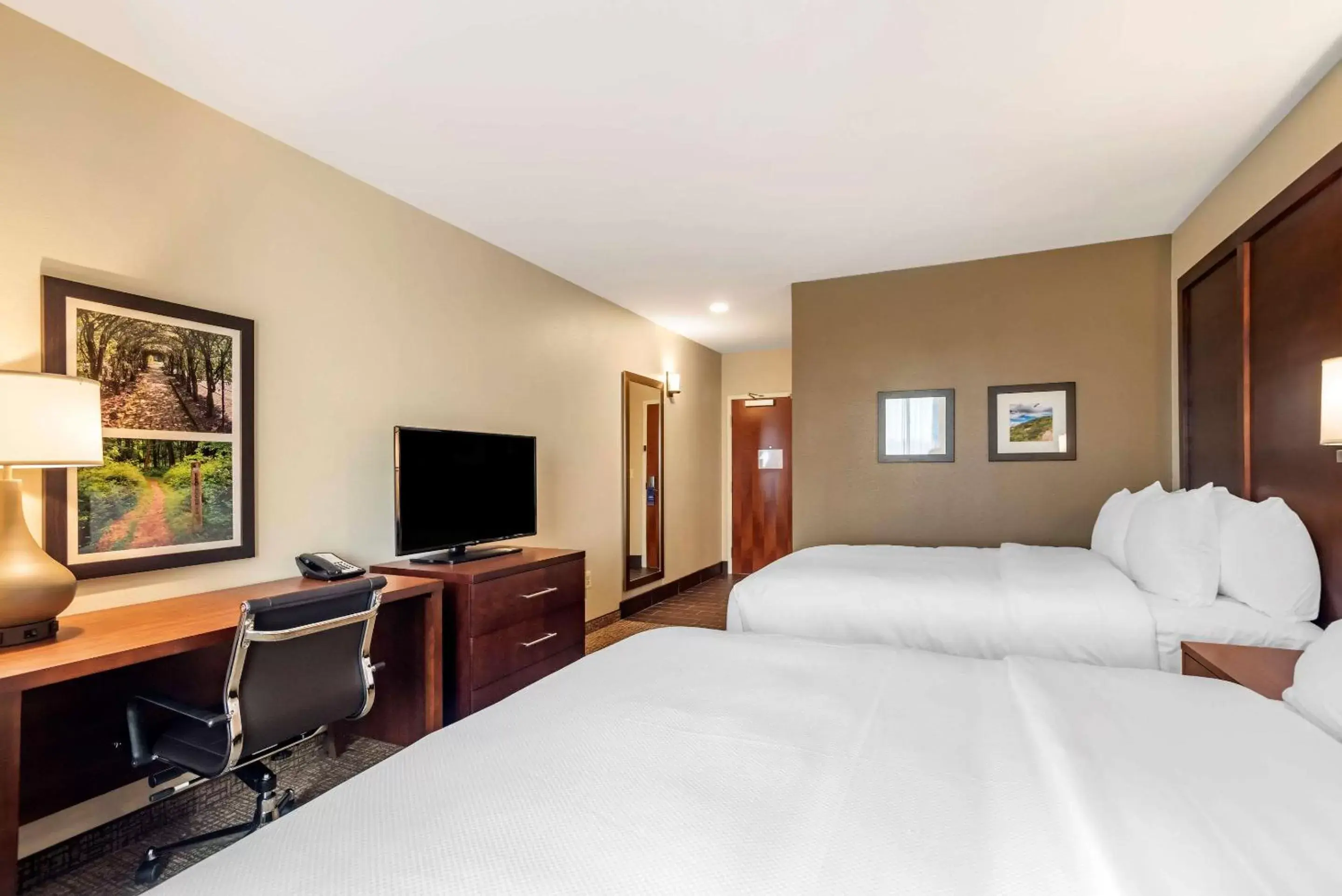 Photo of the whole room in Comfort Inn & Suites