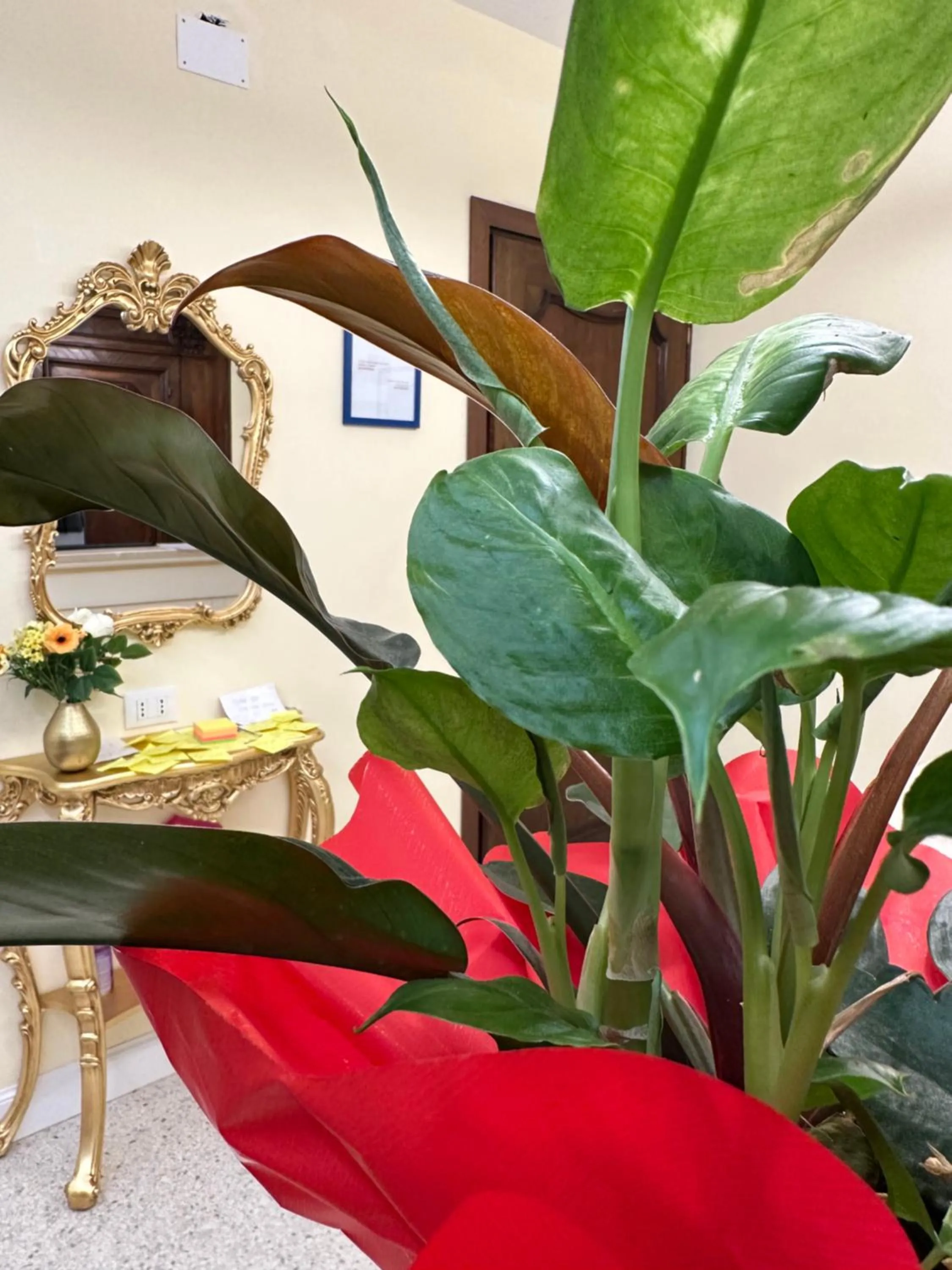 Seating area in Guest House Train Station Venice - Atika & Atif