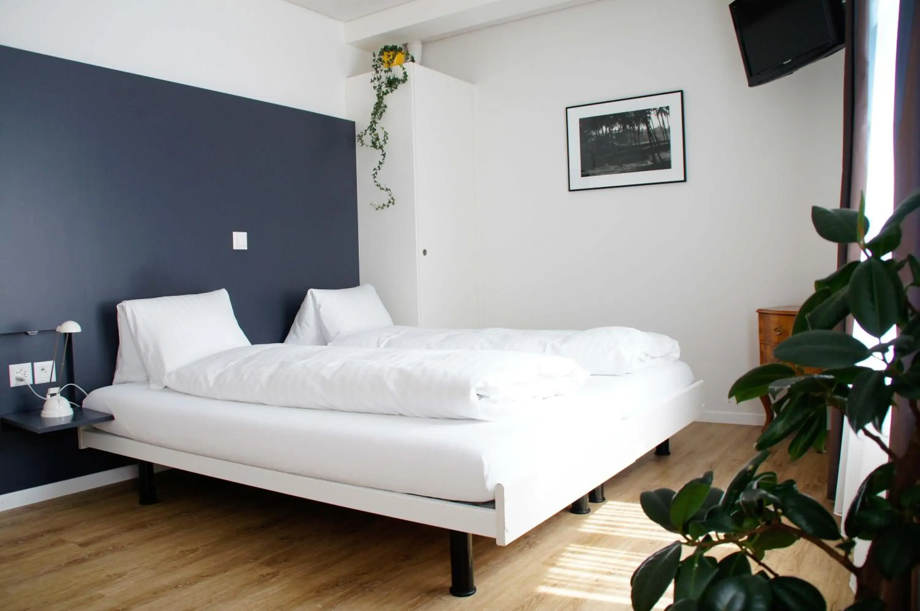 Standard Double or Twin Room - single occupancy in Hotel Vadian Garni Standard Double or Twin Room - single occupancy in Hotel Vadian Garni