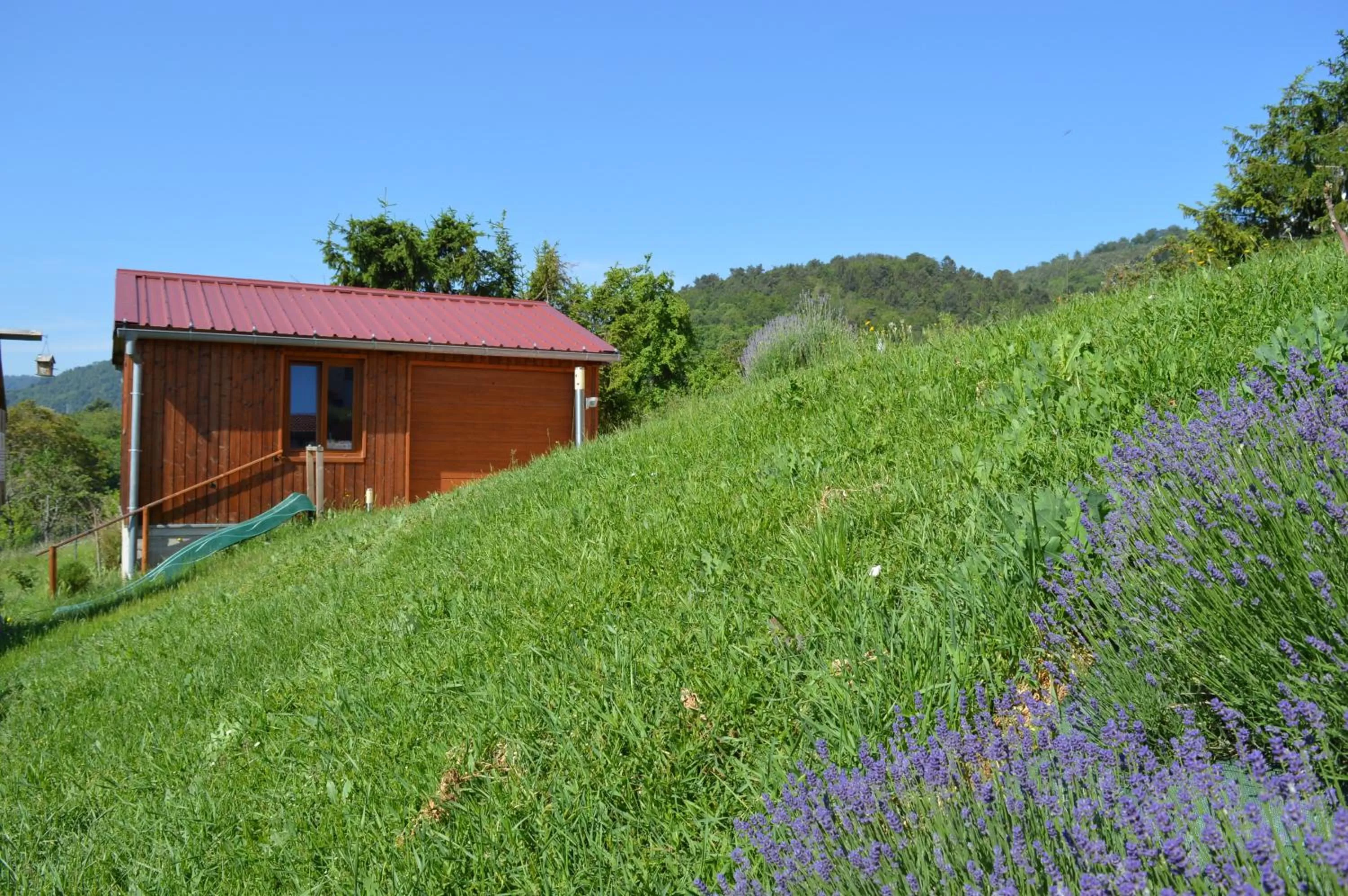 Chambres d'hôtes Les vignes