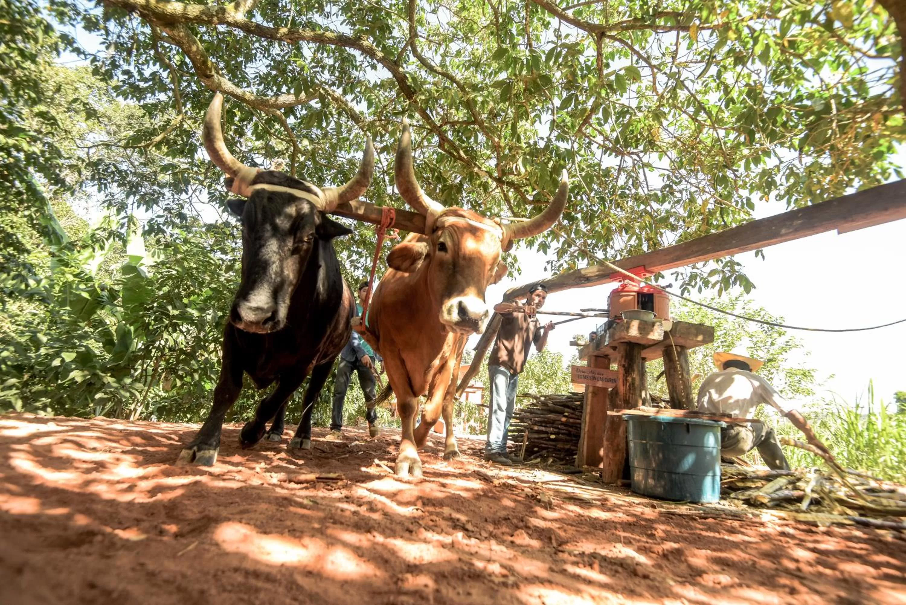 Entertainment in Hotel de Campo Villa de Ada