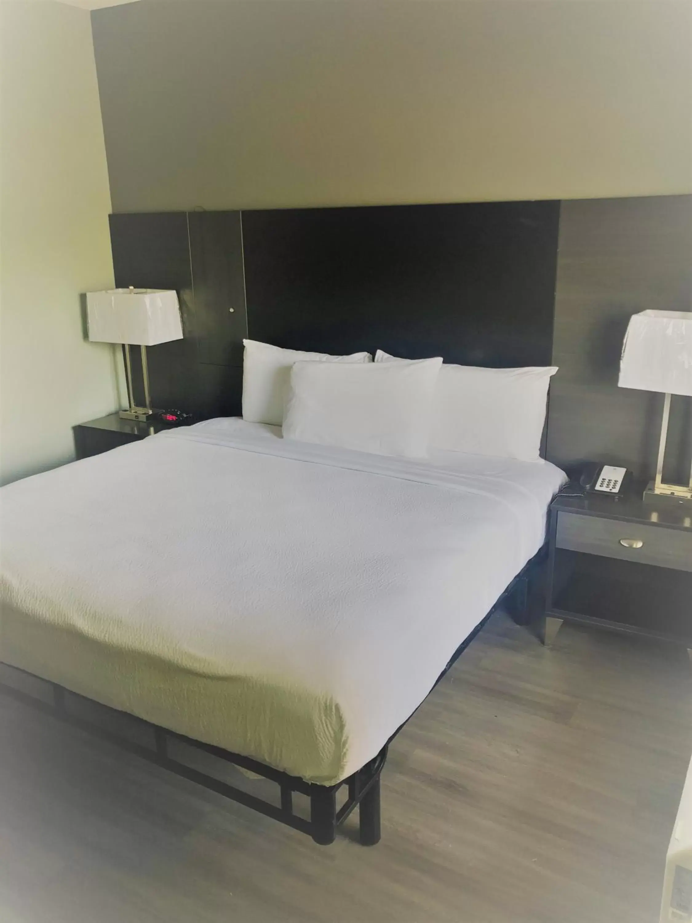 Bed in SureStay Hotel by Best Western Conway