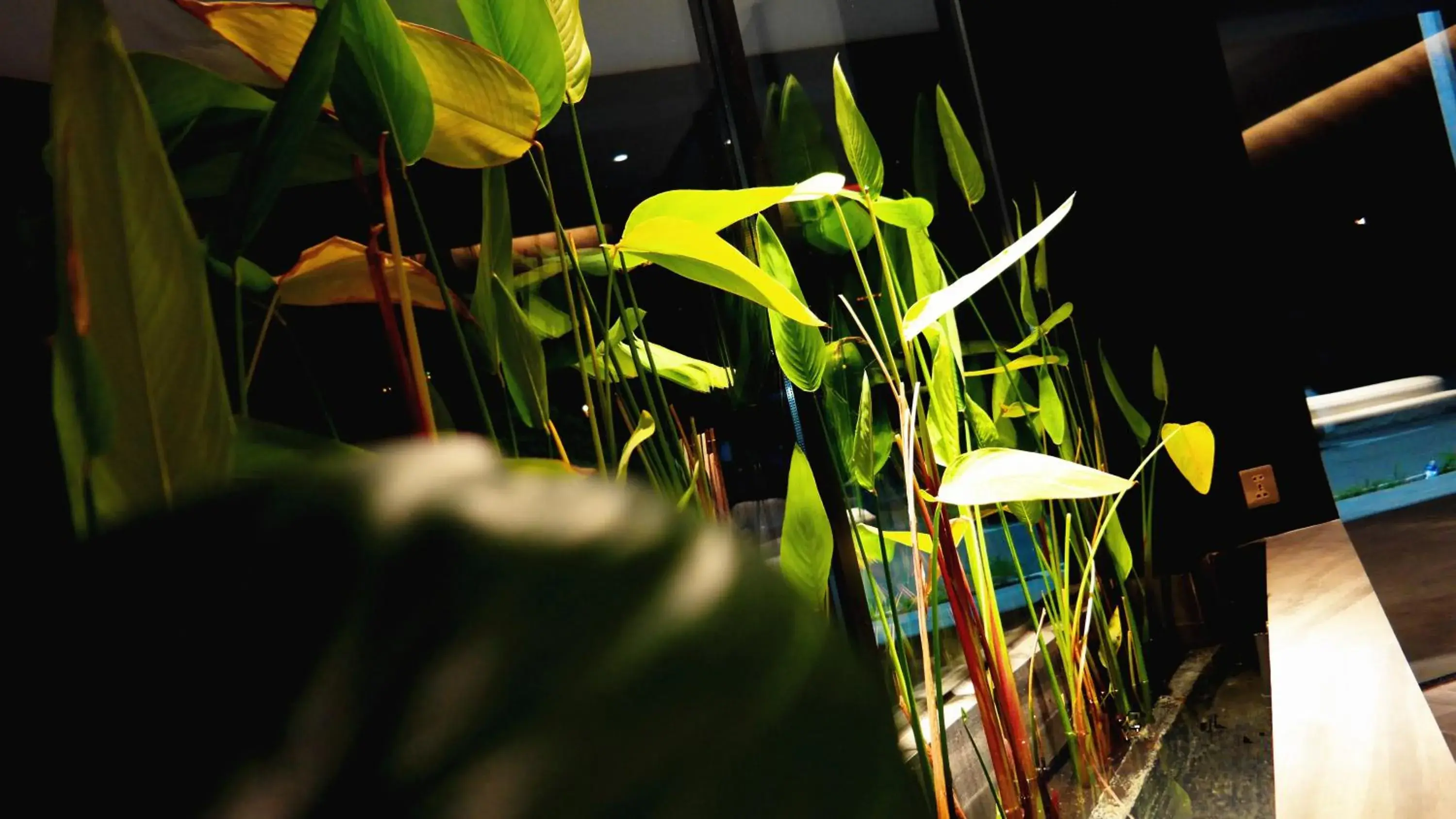 Lobby or reception in Hotel Legend Boutique Lobby or reception in Hotel Legend Boutique