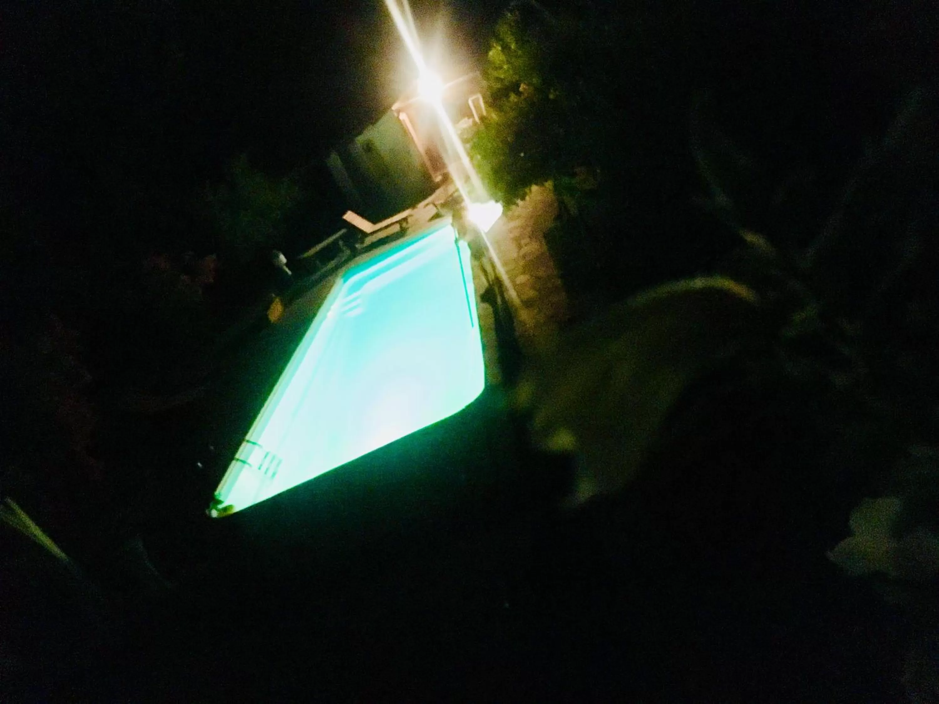 Rossella alla Villarella dei Tulipani