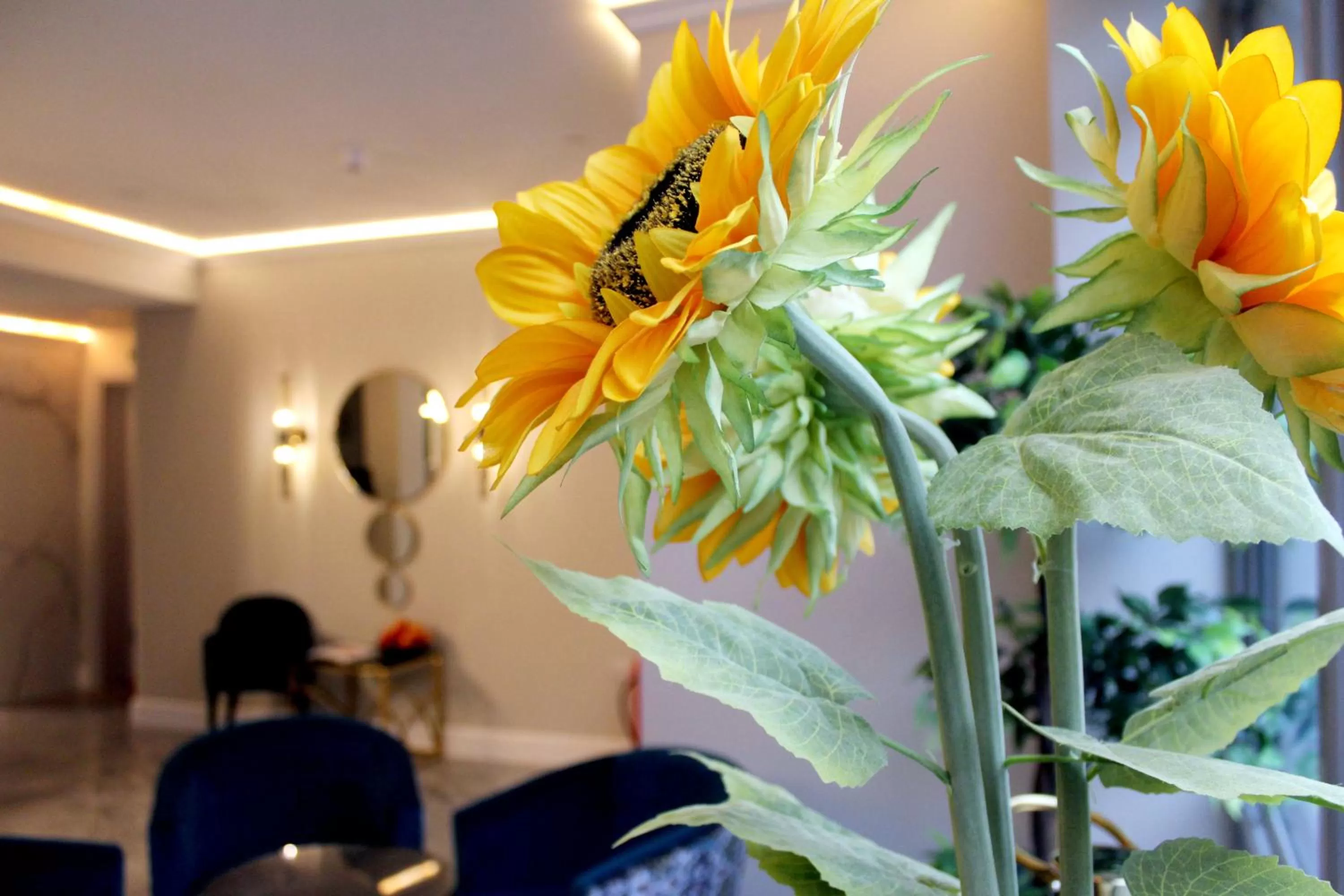 Lobby or reception in NOX Waterloo