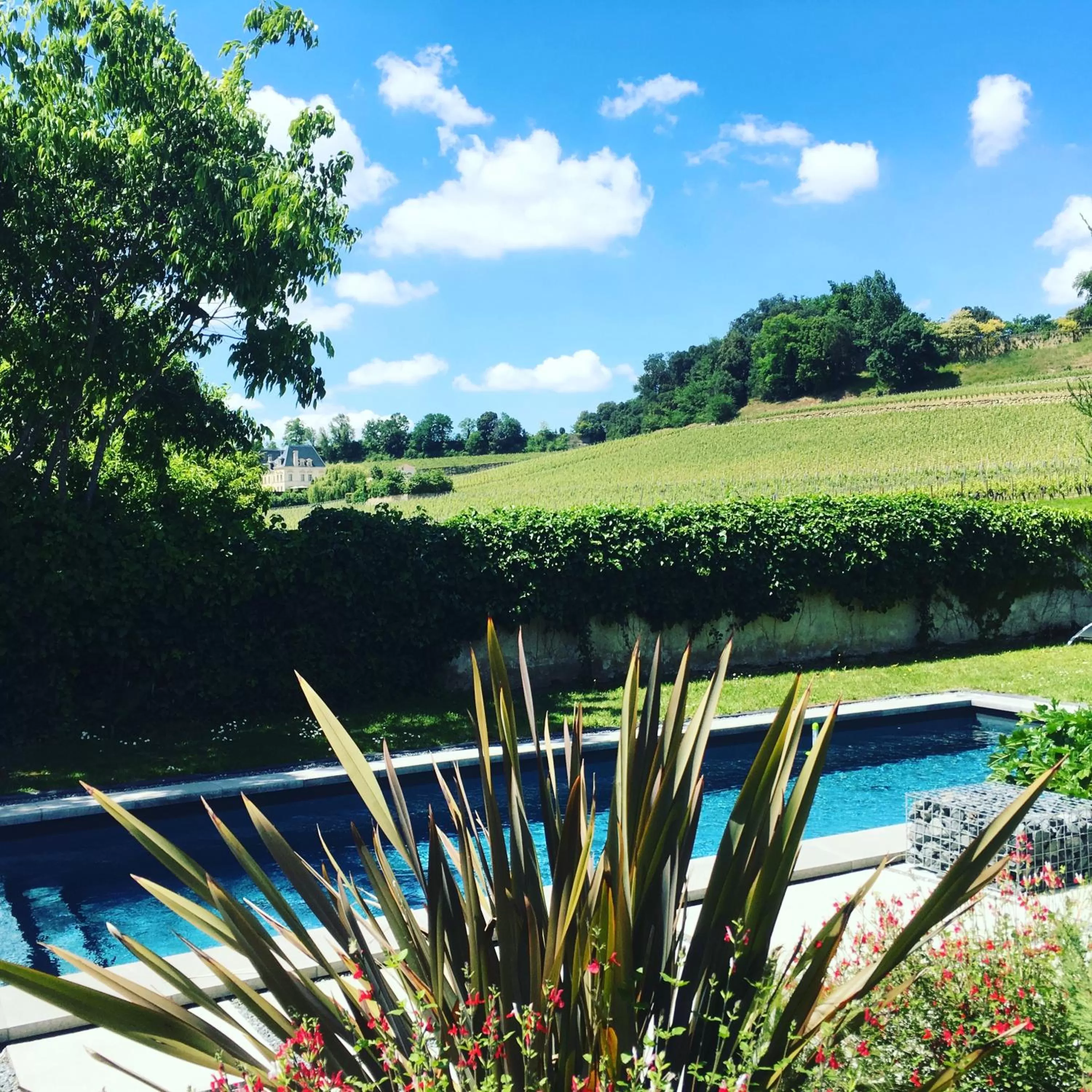Natural landscape, Swimming Pool in Clos 1906