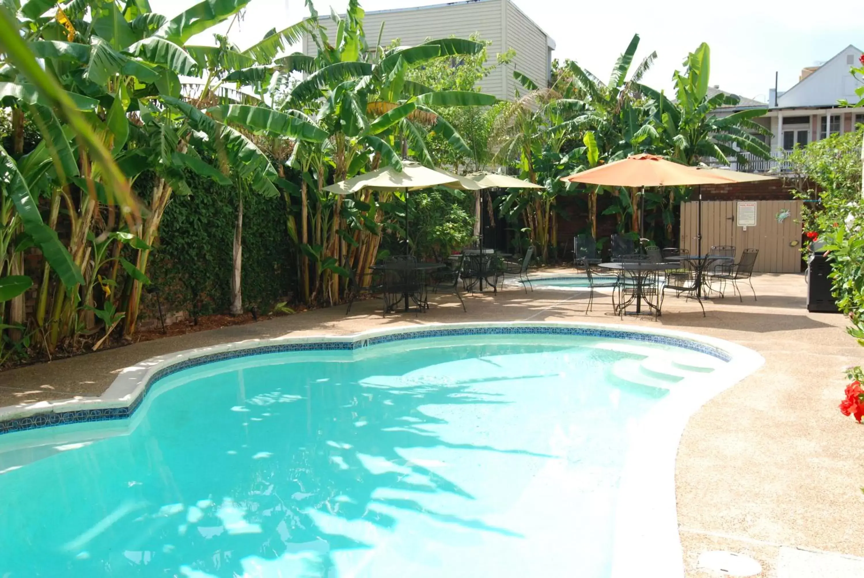 Swimming Pool in Frenchmen Orleans at 519, Ascend Hotel Collection