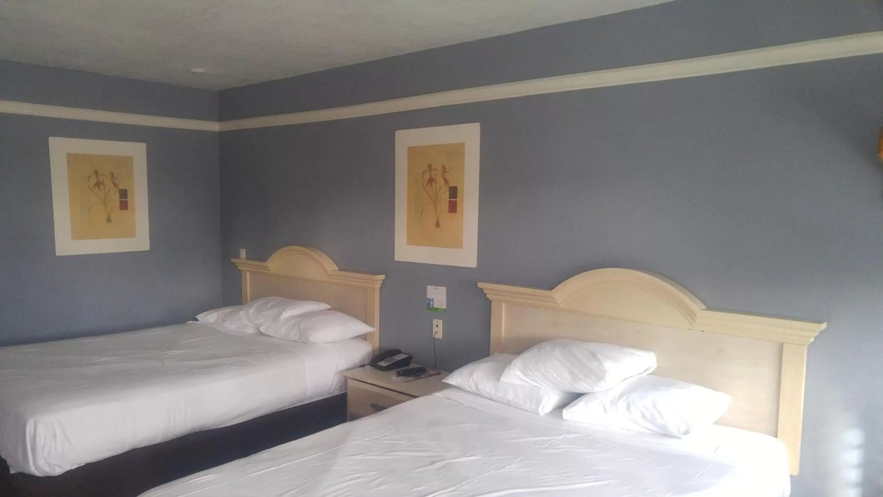 Queen Room with Two Queen Beds - Non-Smoking in Riviera Motel