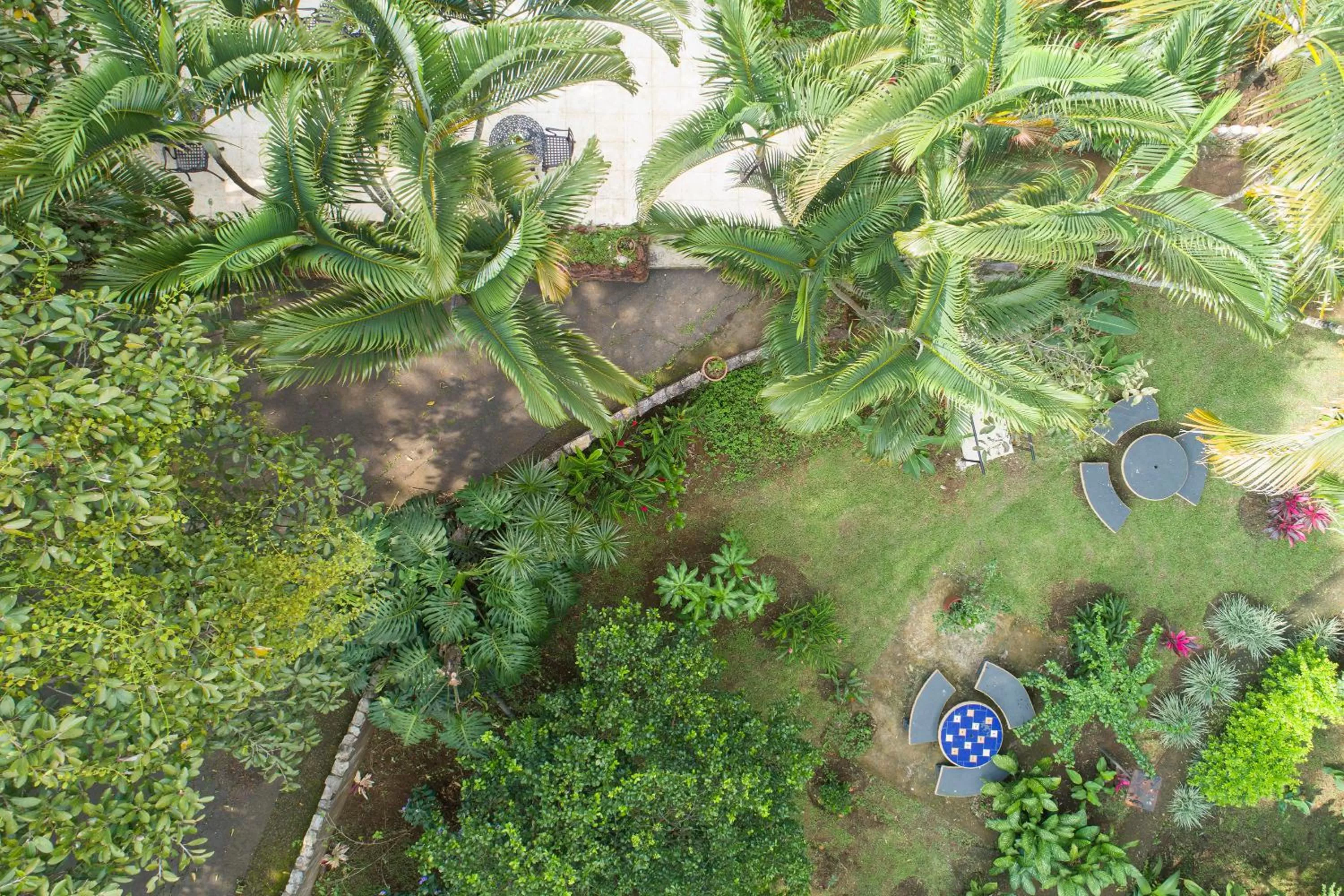 Bird's eye view in Villa San Ignacio